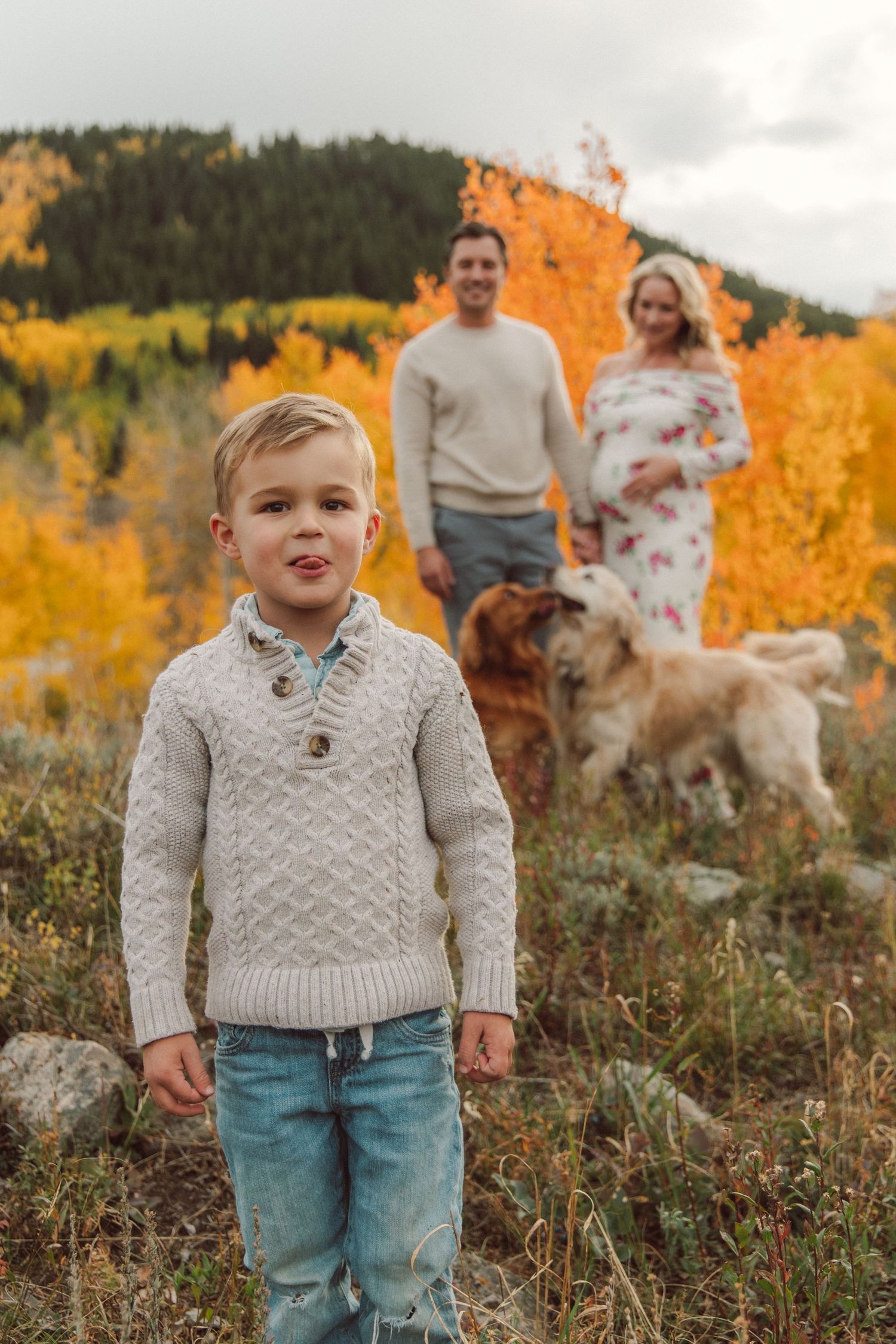 Family and dogs pose together on hillside with golden autumn aspens in background.