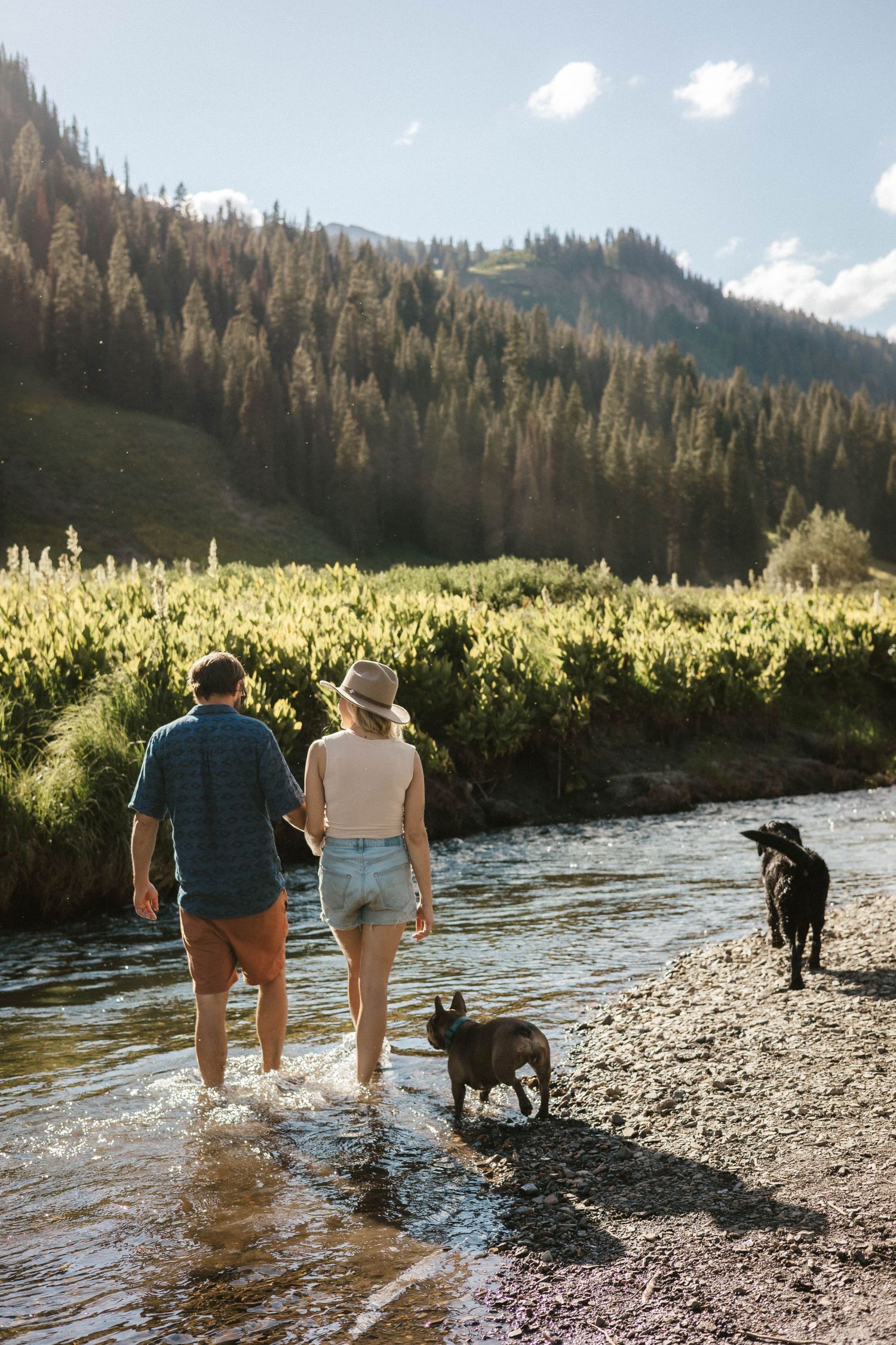 Couple wading in a mountain stream with their dog on a sunny day.