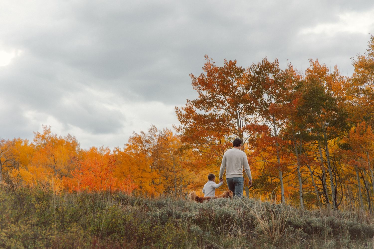 A person walks along a scenic autumn trail surrounded by vibrant orange and yellow foliage under a cloudy sky.
