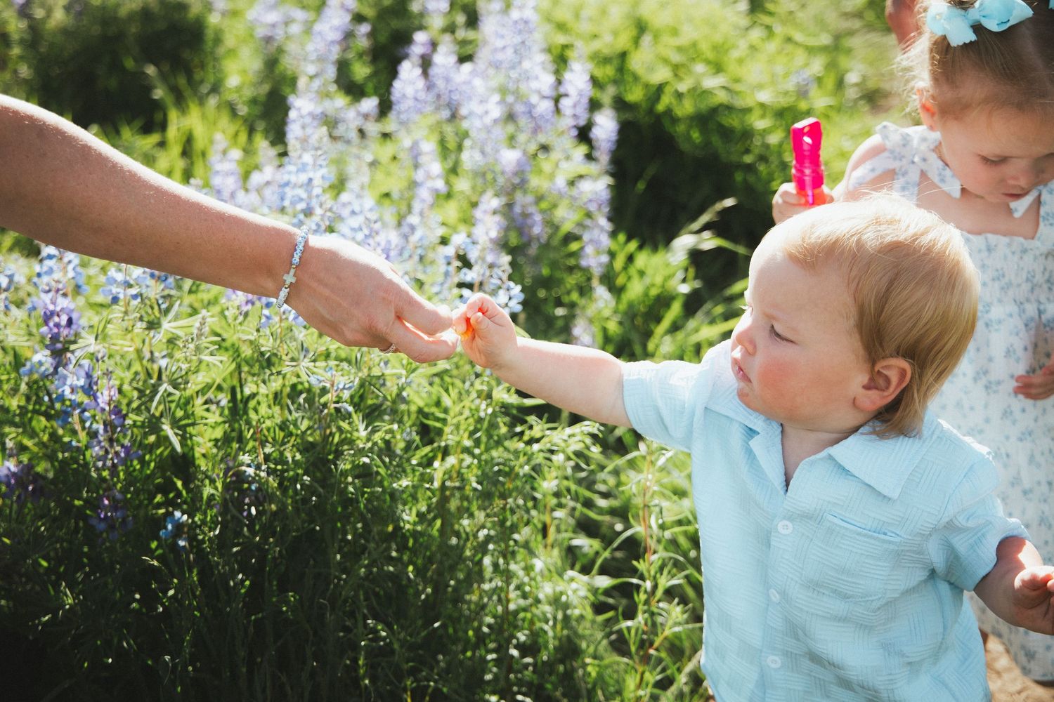 Toddler in blue shirt reaching for a flower from an adult hand in a sunny lavender garden with a girl nearby.