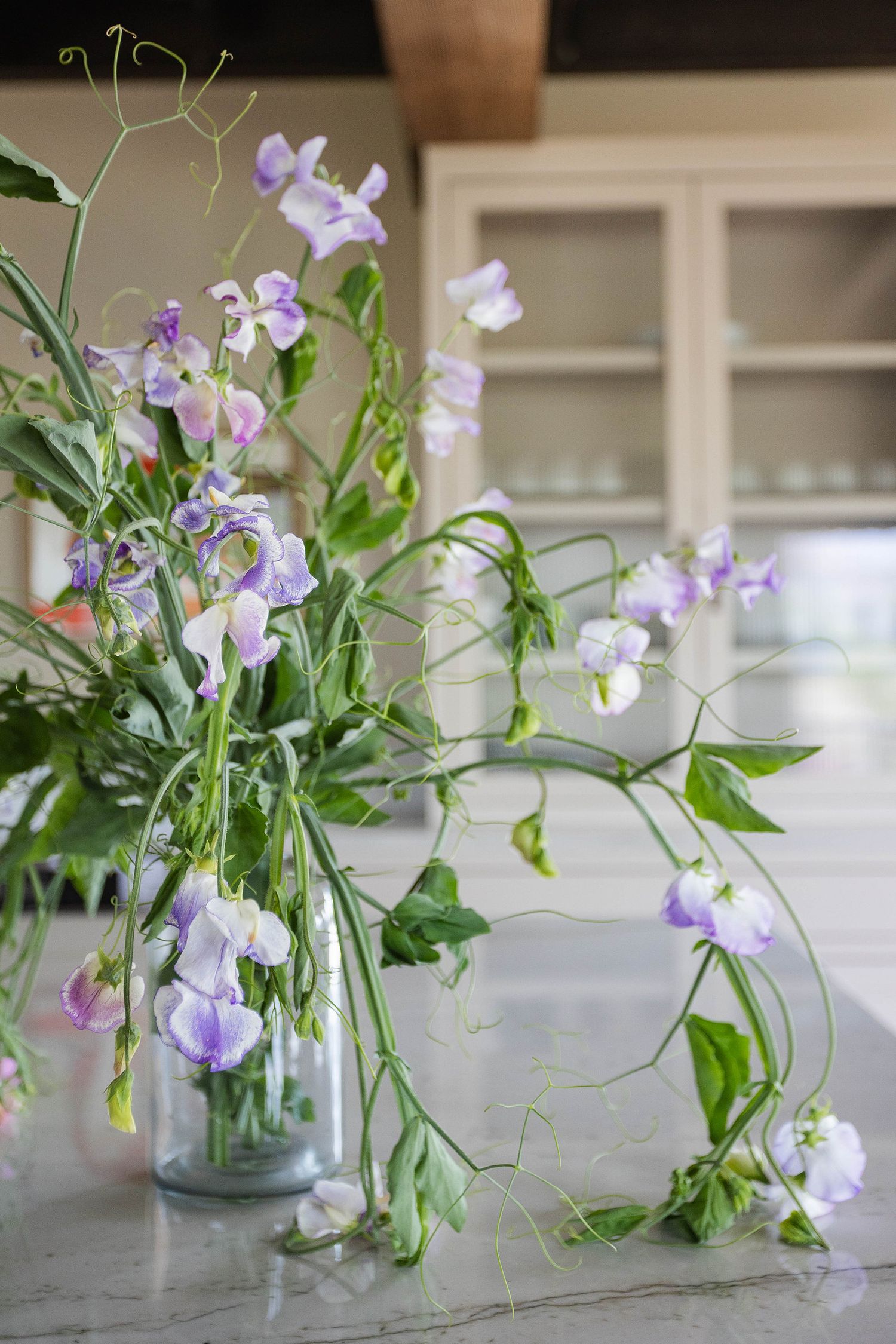 Purple sweet pea flowers in a glass vase on a marble countertop in a bright kitchen.