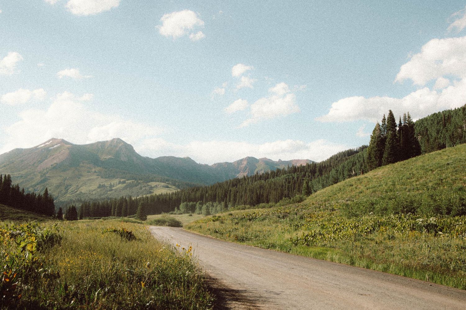 A winding dirt road curves through green mountain meadows with evergreen forests and peaks under a blue summer sky.