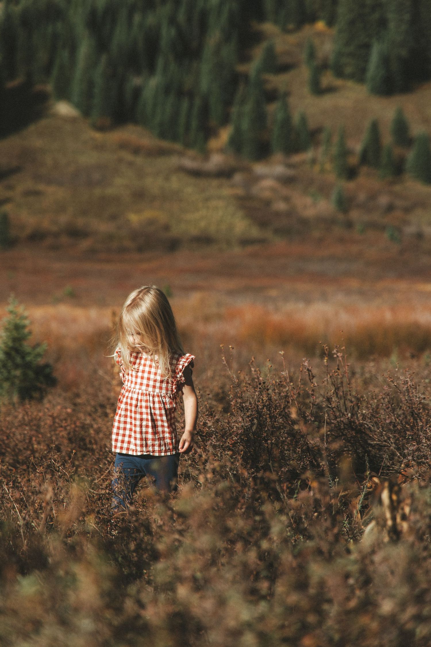 Young blonde girl in red plaid dress exploring an autumn mountain meadow with evergreen forest backdrop.