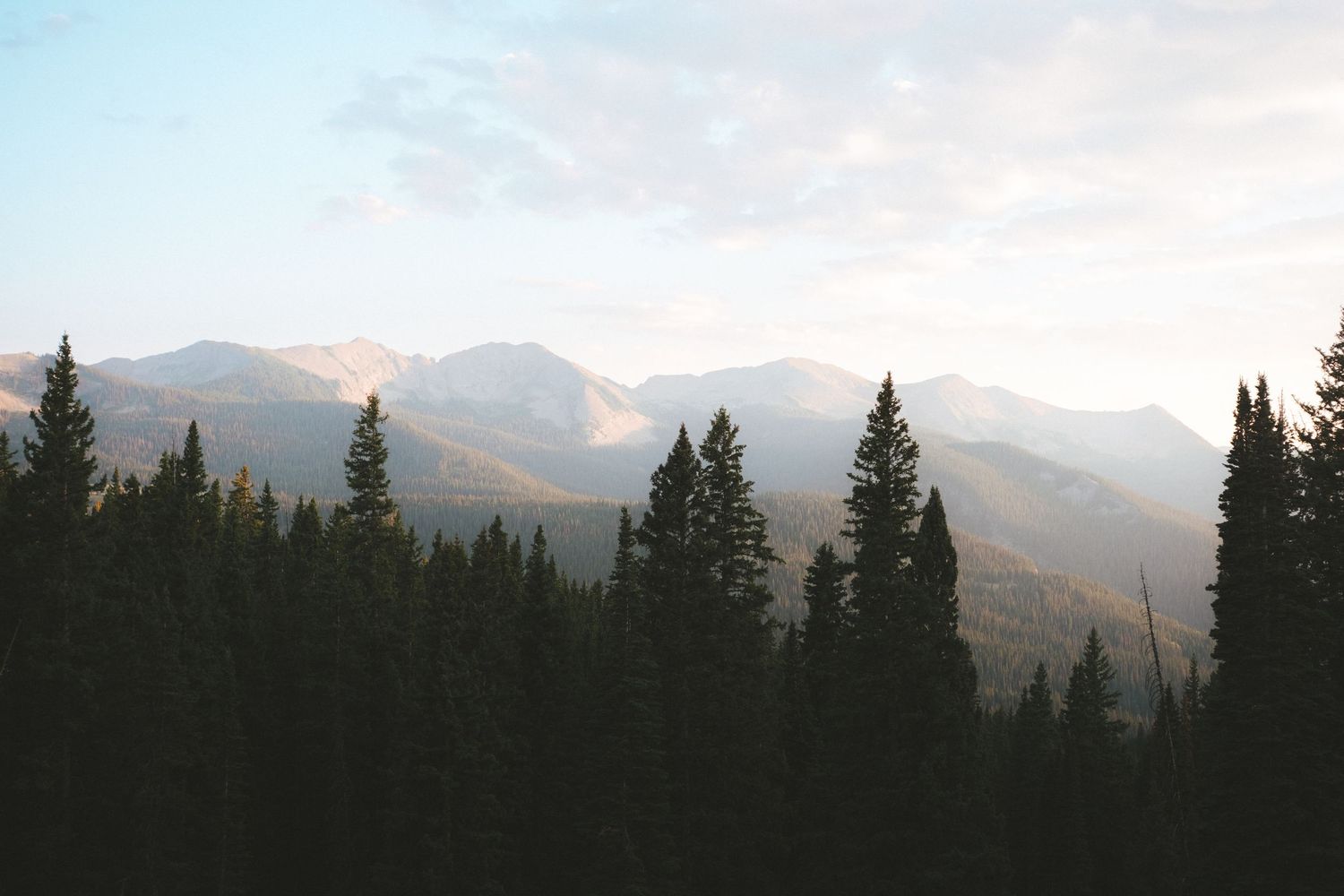 Misty mountain landscape with evergreen pine forest silhouette at dusk in a scenic wilderness setting.