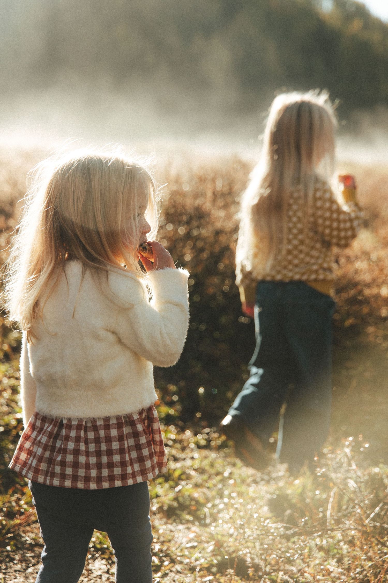 Two young blonde girls in a sunlit misty field, wearing plaid skirts and cozy sweaters, enjoying a autumn day outdoors.