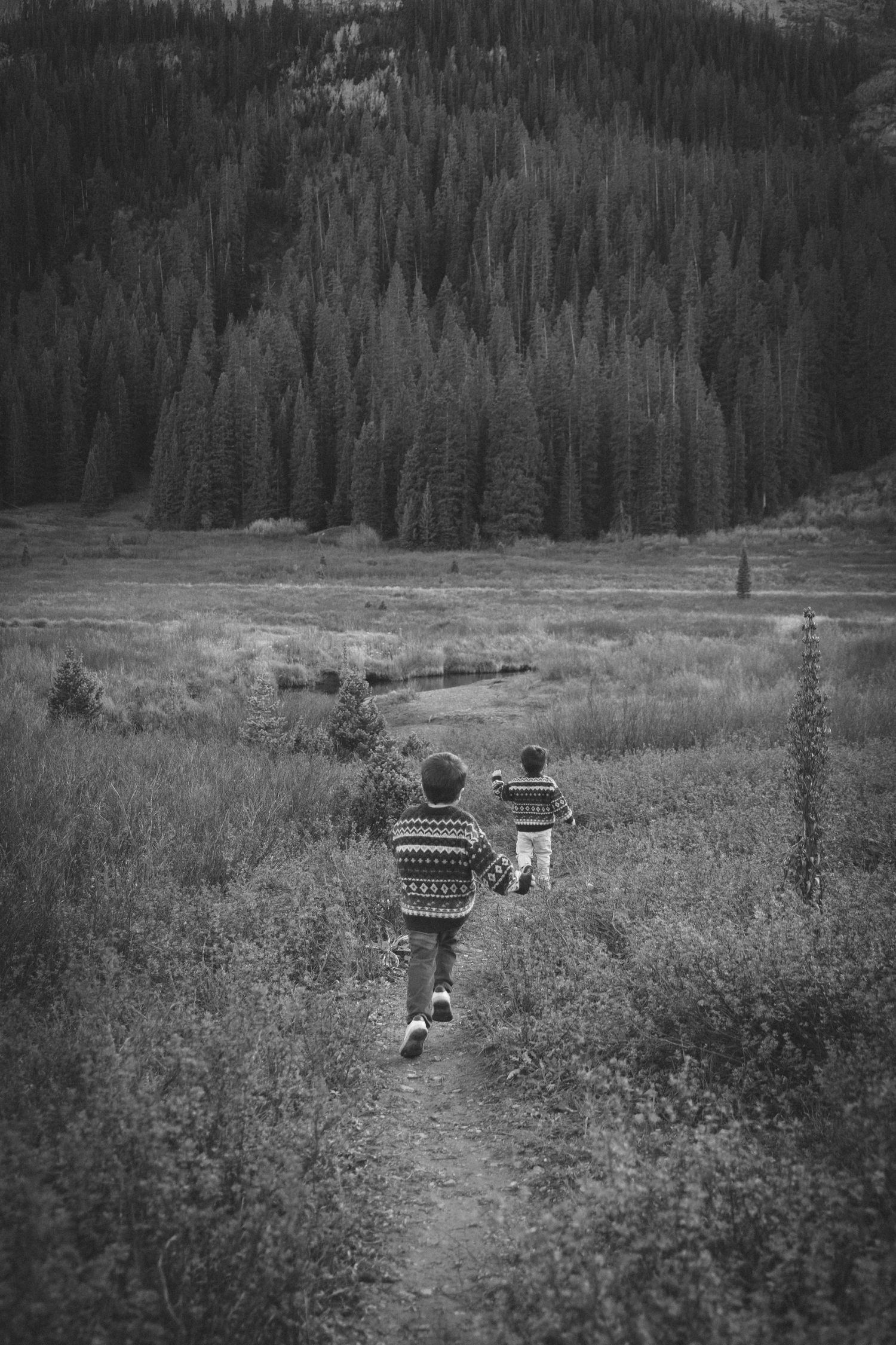 Two children in matching sweaters run along a mountain trail through a meadow toward a dense evergreen forest.