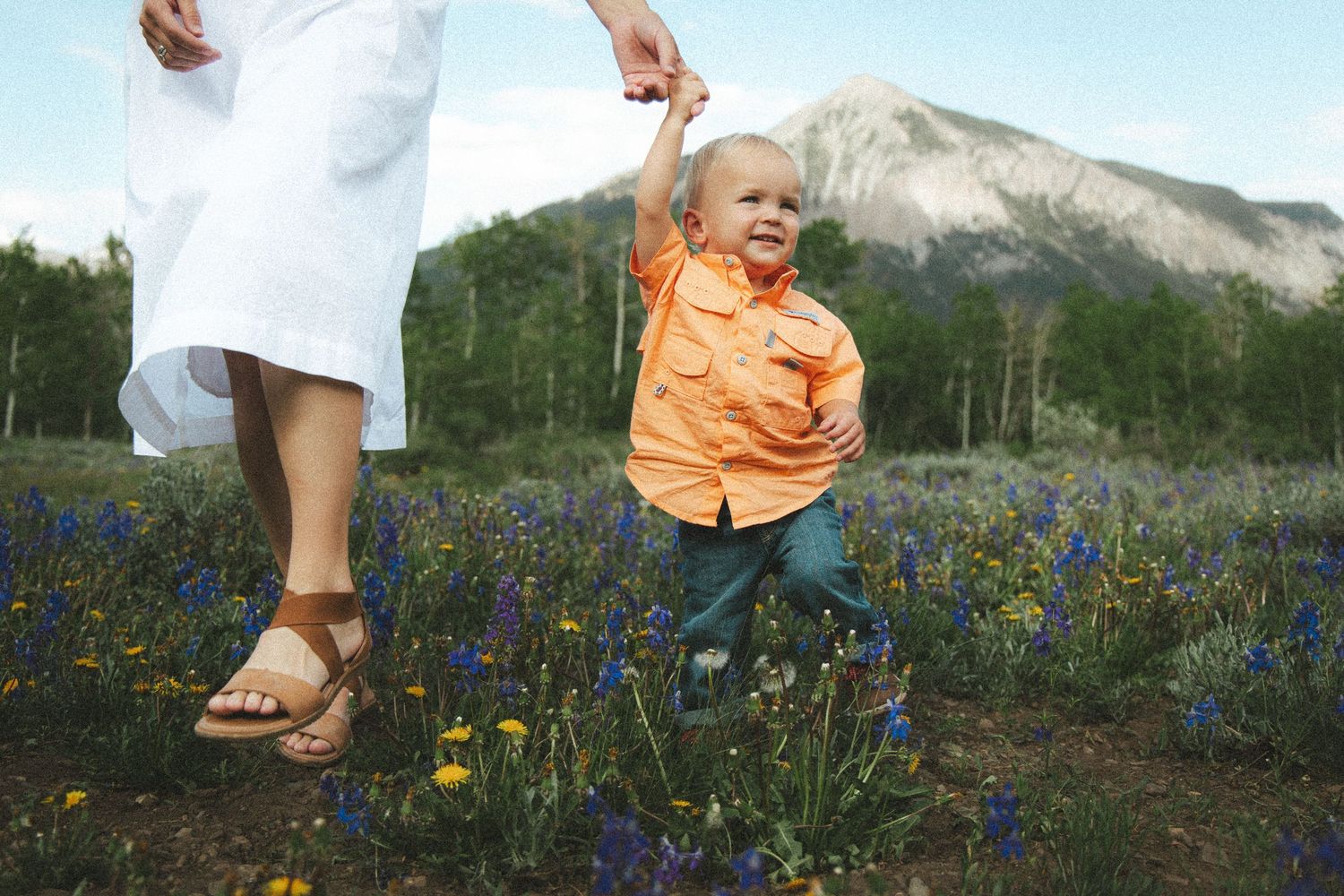 Toddler in orange shirt holds adult's hand in colorful wildflower meadow with mountain backdrop.