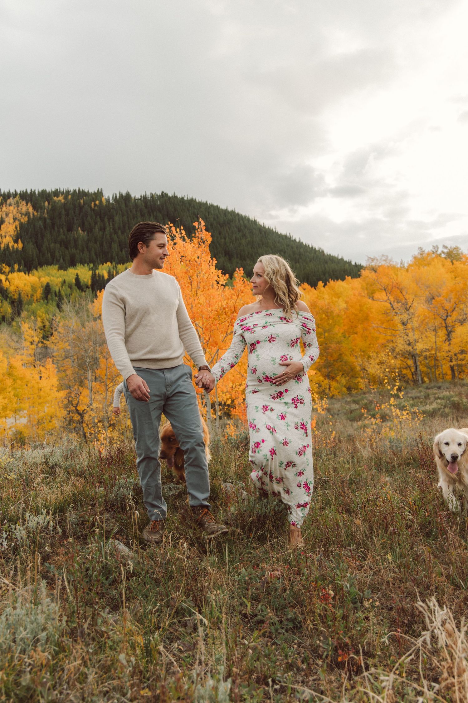 Couple holding hands in autumn field with golden aspen trees, dogs, and mountain backdrop during maternity photo session.