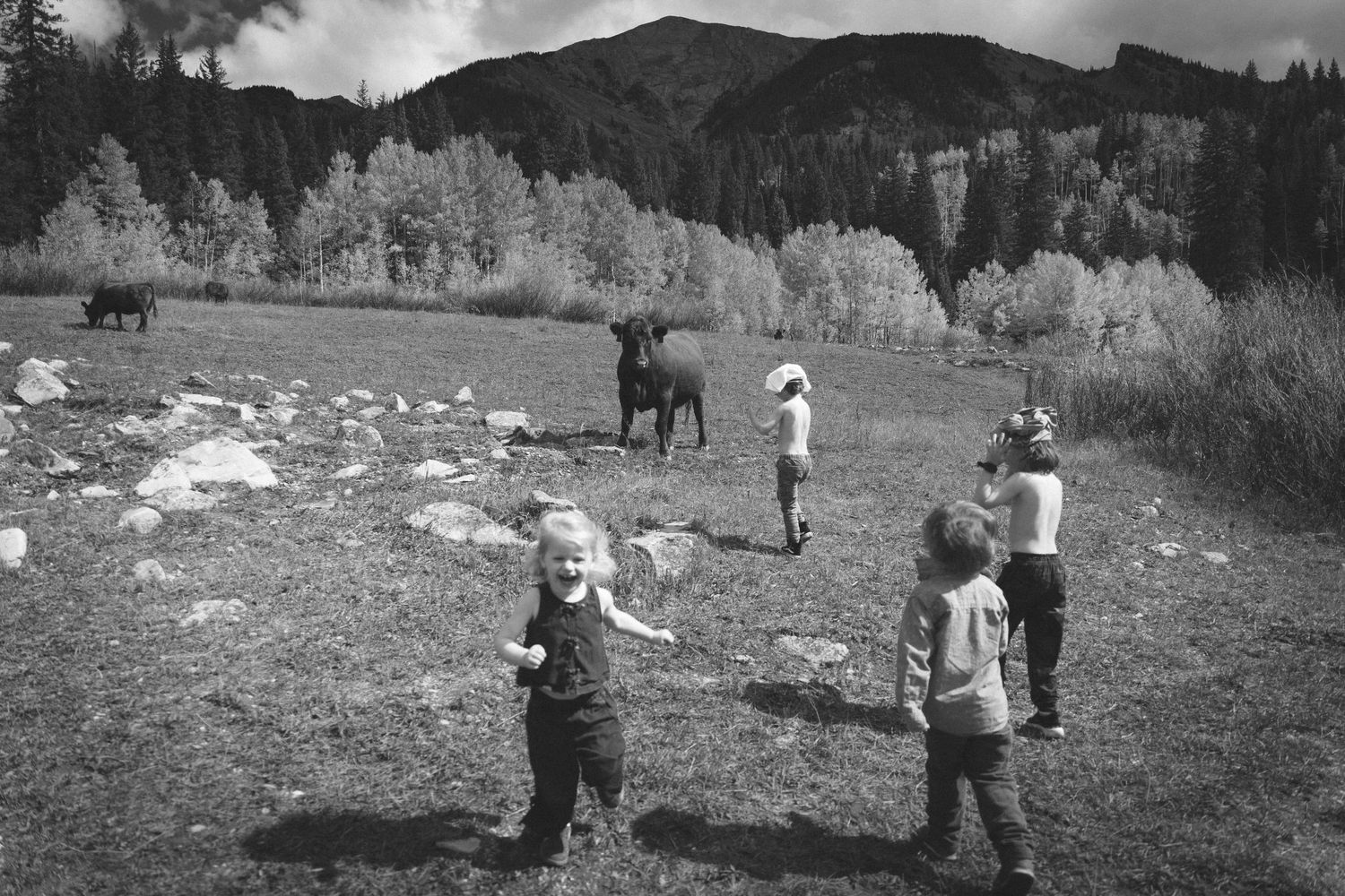Black and white photo of four young children playing in a mountain meadow with a dog and cow grazing near forested hills.