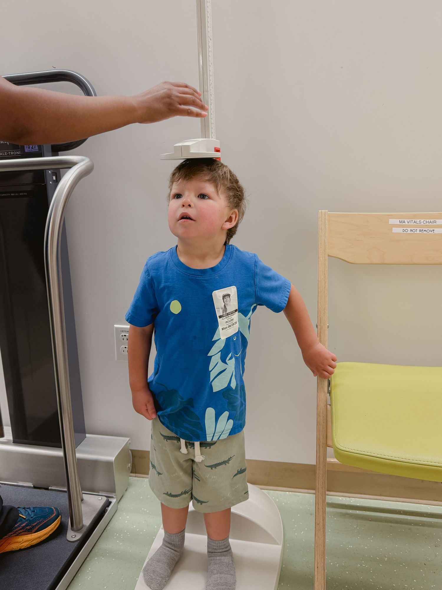 Young toddler boy in blue shirt getting height measured at pediatric doctor office checkup.