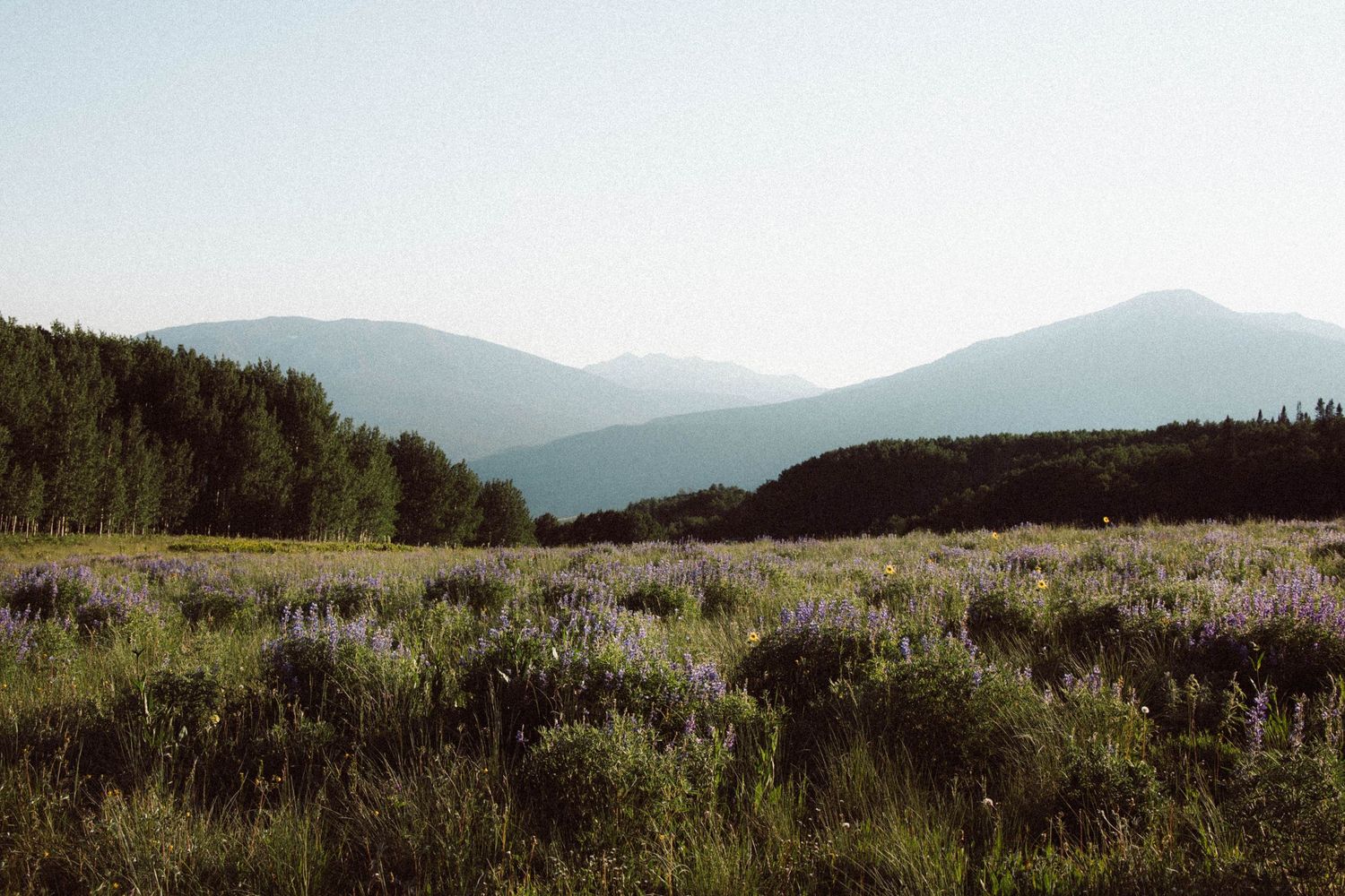 Rolling hills and mountains covered in scrubland and wild grasses stretch into the hazy distance on a misty day.