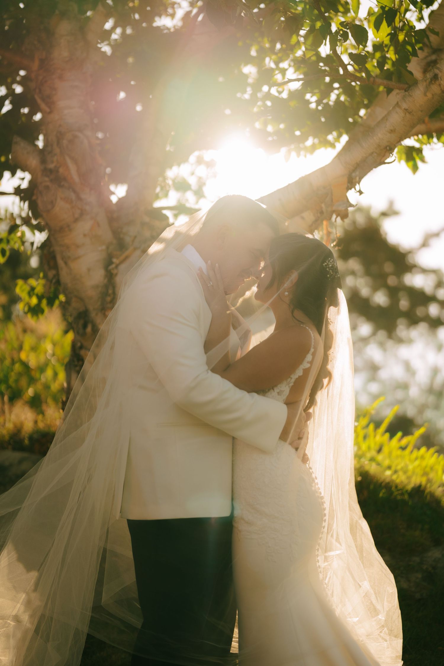 A romantic wedding couple embraces in soft sunlight filtering through trees during a dreamy outdoor photo session.