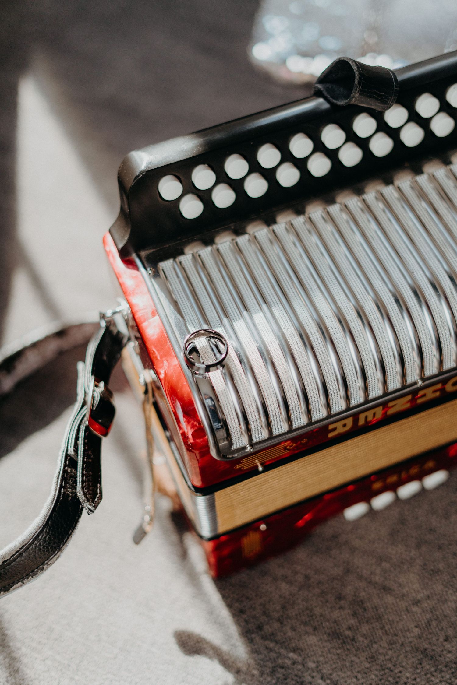 Close-up details of red and silver accordion buttons and keys in natural lighting.