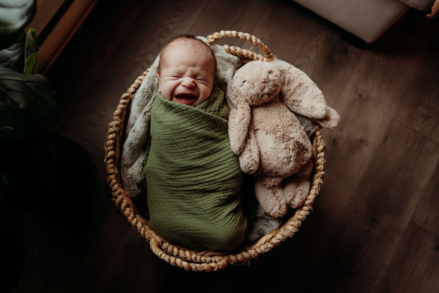 Newborn portrait in wicker basket with stuffed bear and olive swaddle.