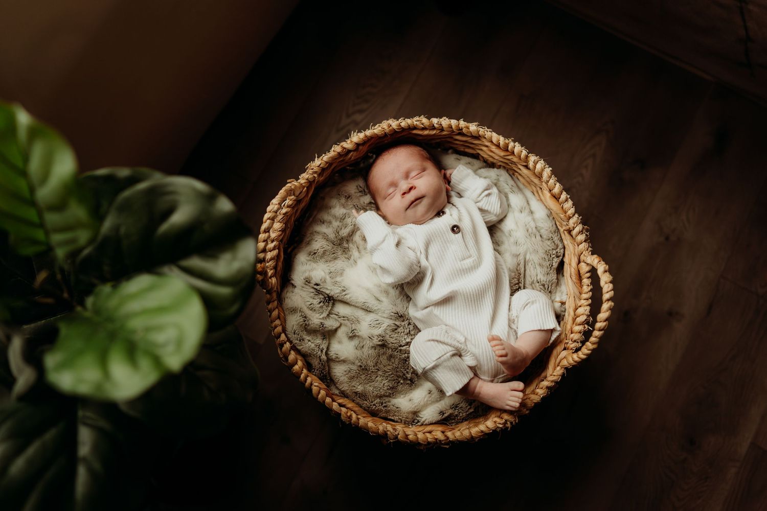 An infant peacefully resting in a wicker basket with greenery in the background.