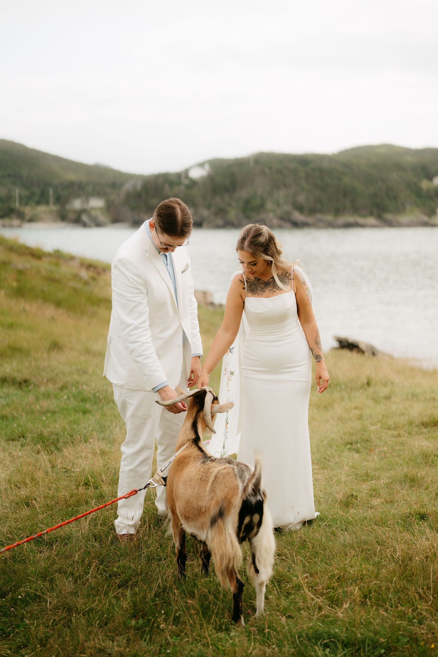 Bride and groom in white attire petting a goat on a leash by a scenic coastal waterfront.