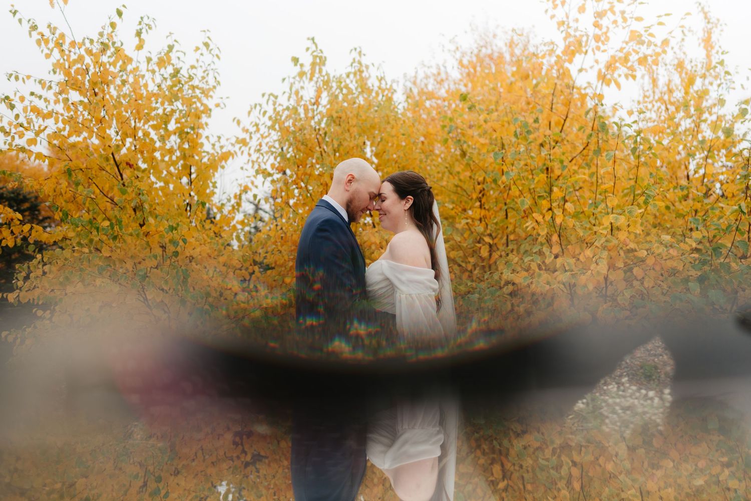 Two people embrace in a romantic kiss under golden autumn foliage during a sunset photoshoot.