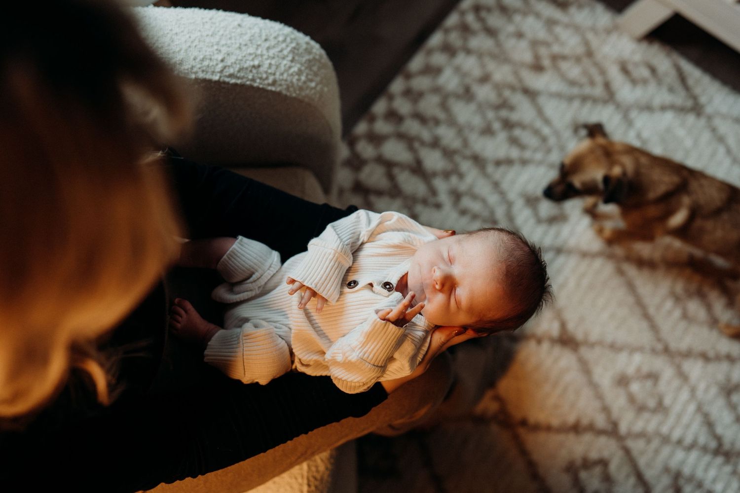 Infant lying on patterned rug in soft window light during lifestyle photography session.