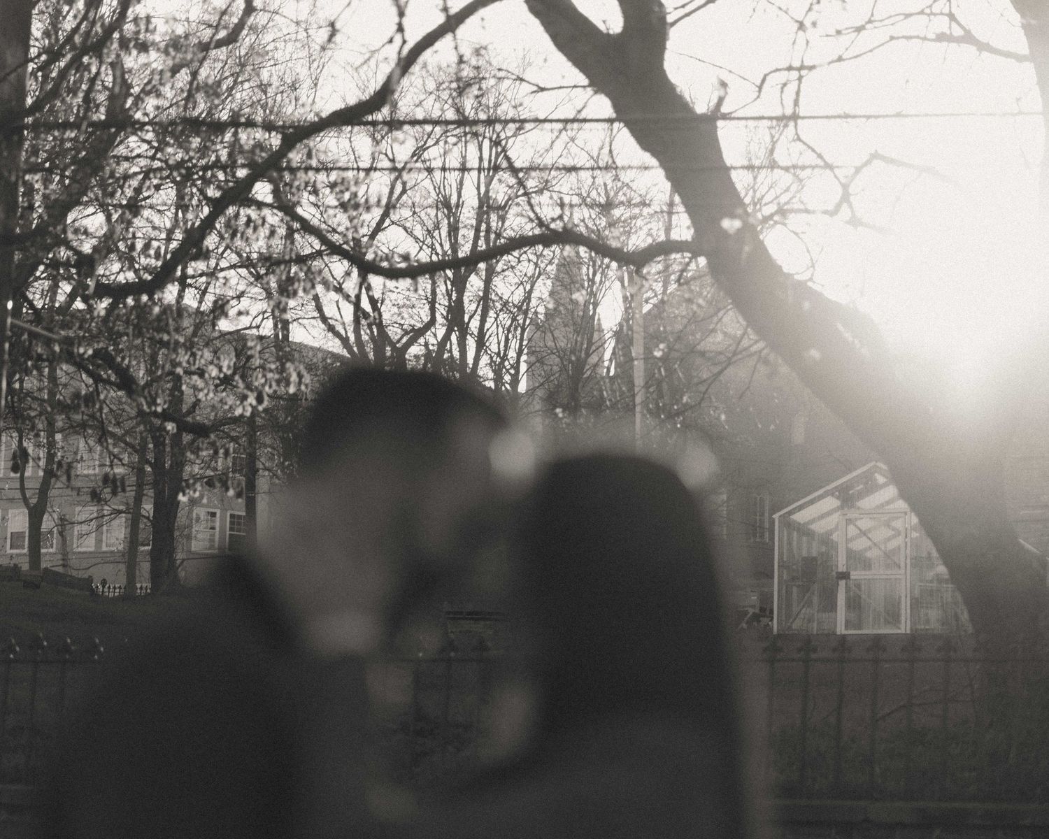 Black and white photo of a couple sharing a kiss outdoors beneath bare winter trees with soft sunlight.