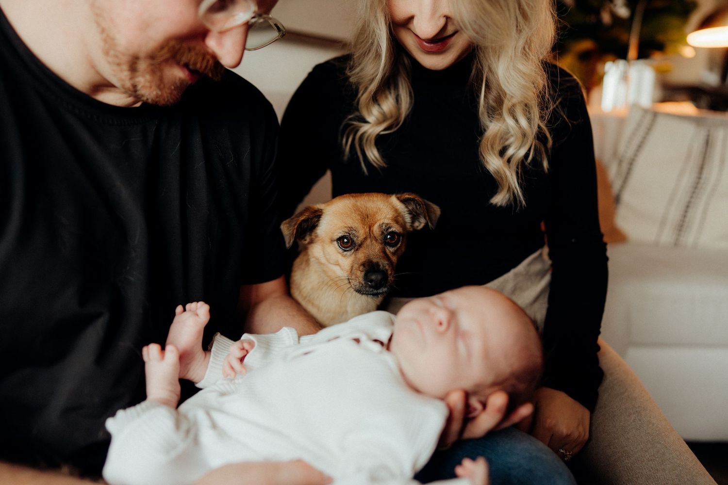 Family lifestyle session with warm tones featuring small dog watching from the couch.