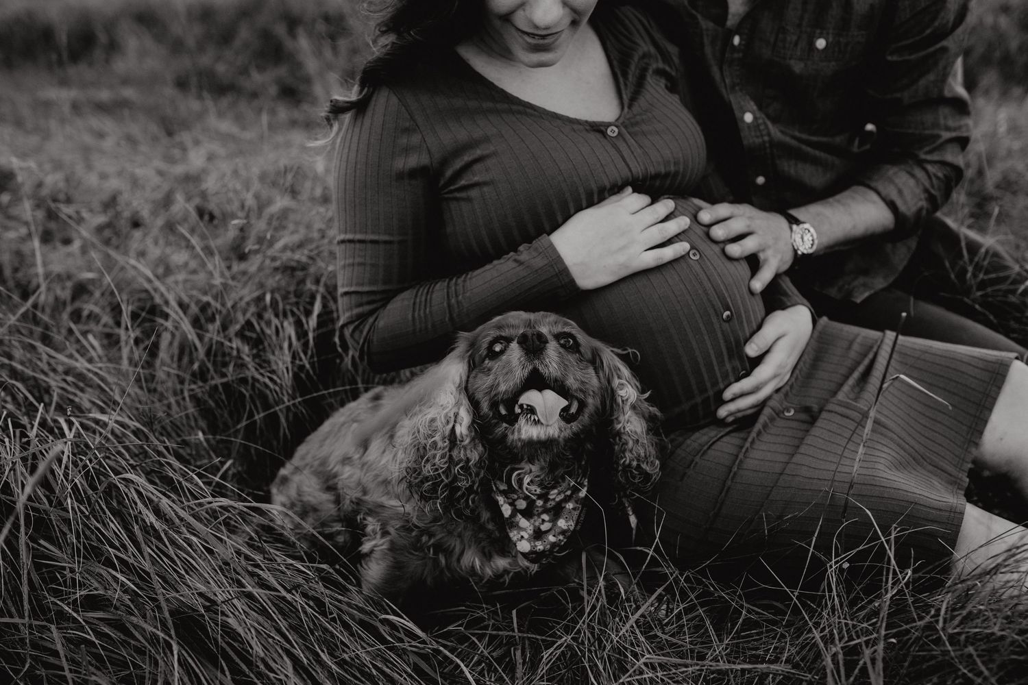 Black and white maternity photo with small dog resting in grass.
