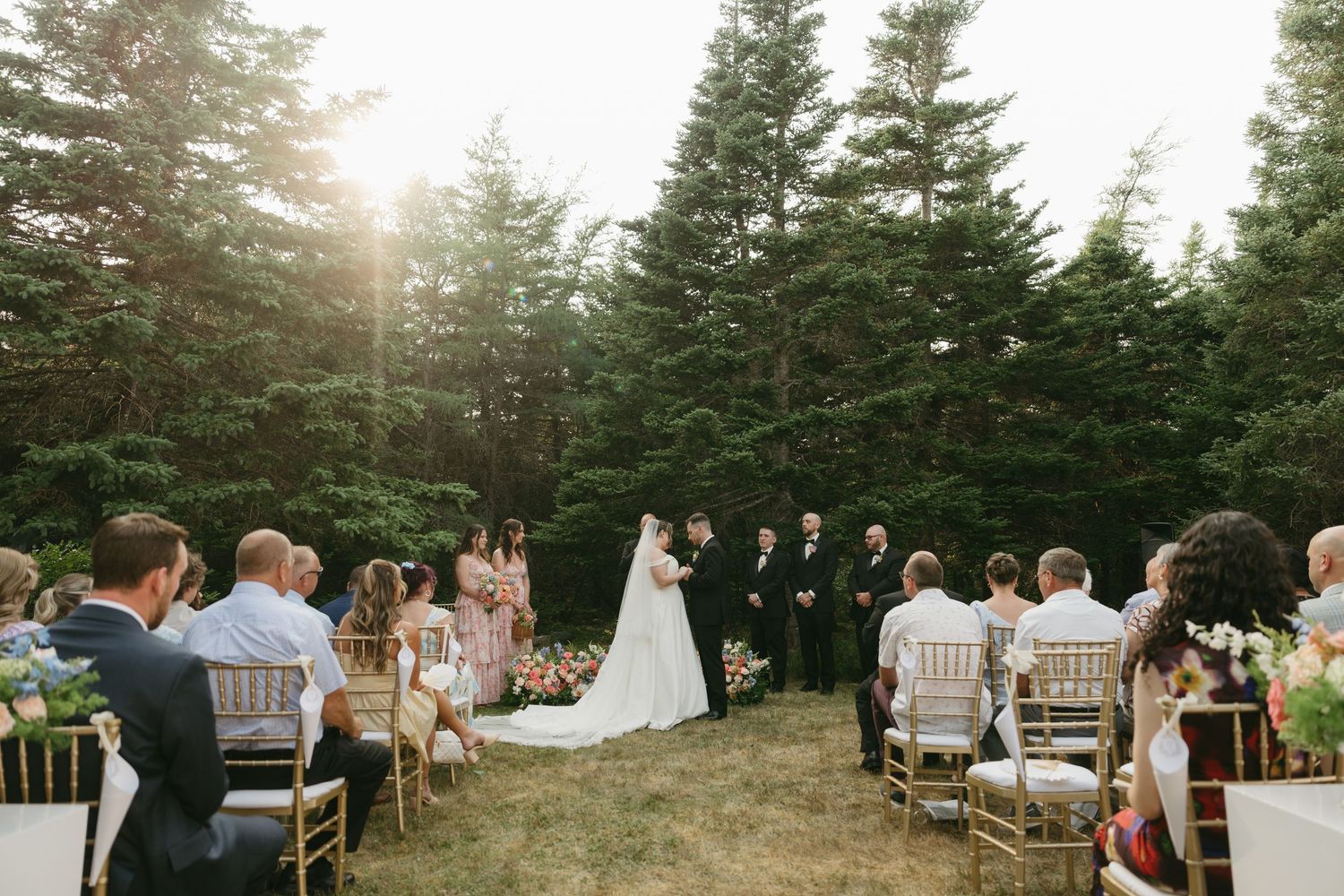 Panoramic view of outdoor wedding ceremony with golden sunlight filtering through pine trees.