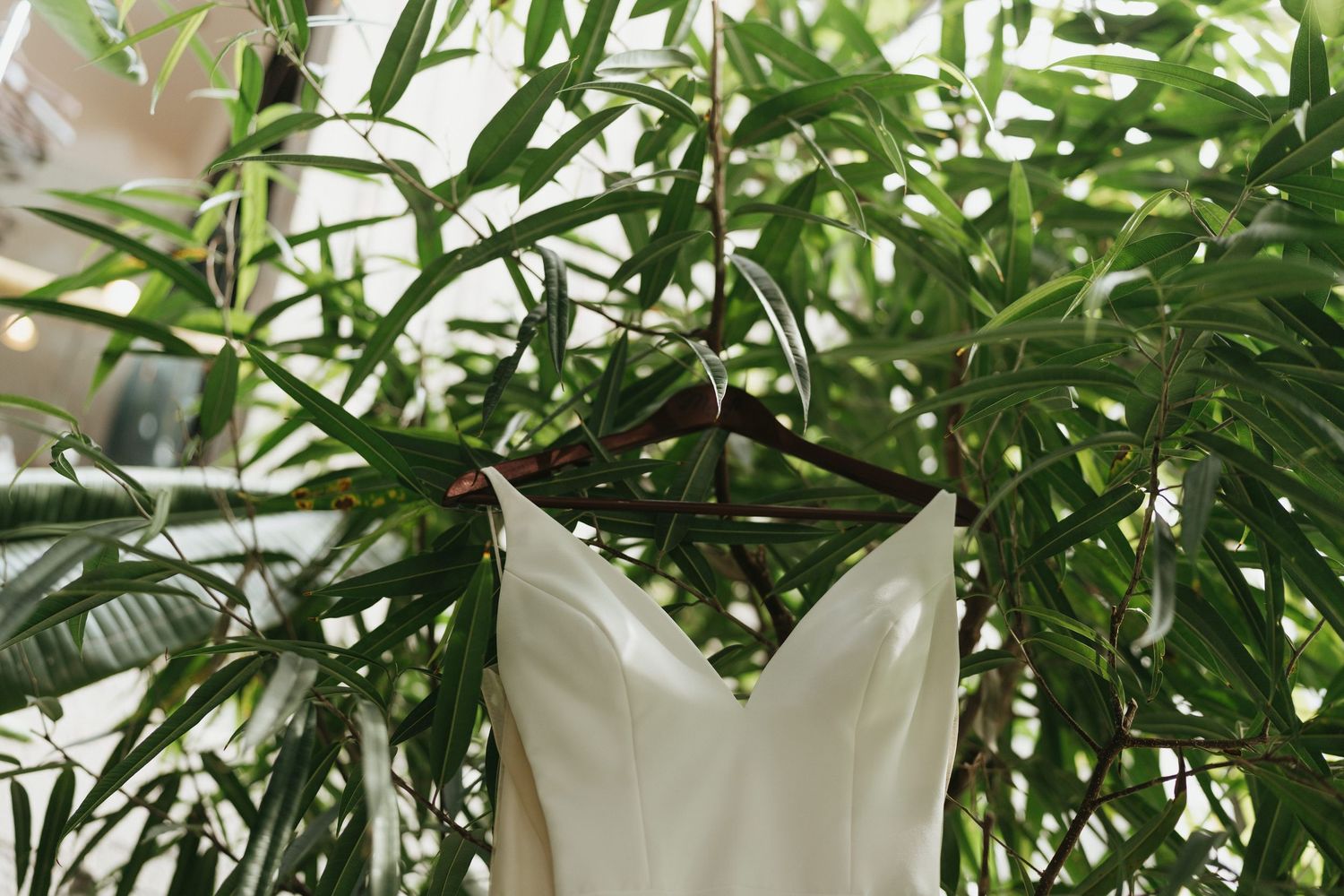 Lush green tropical plants create an indoor garden atmosphere.
