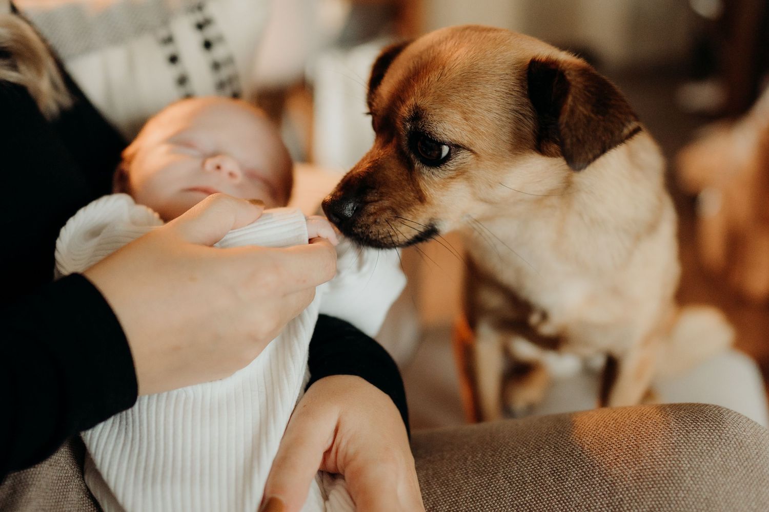 A golden-tinted scene showing gentle interaction with a baby in white clothing.