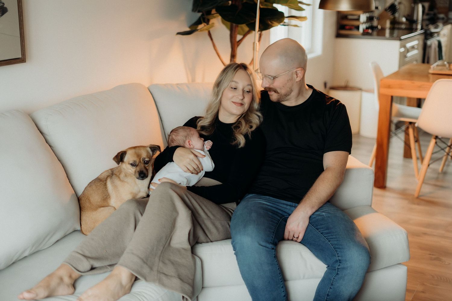 Panoramic sequence of casual family moments on couch with pet dog.
