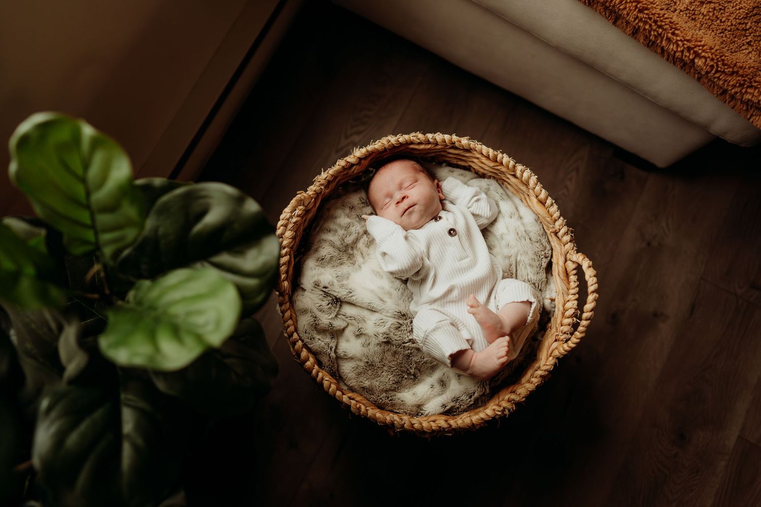 A sleeping baby nestled in a woven basket surrounded by green plants.