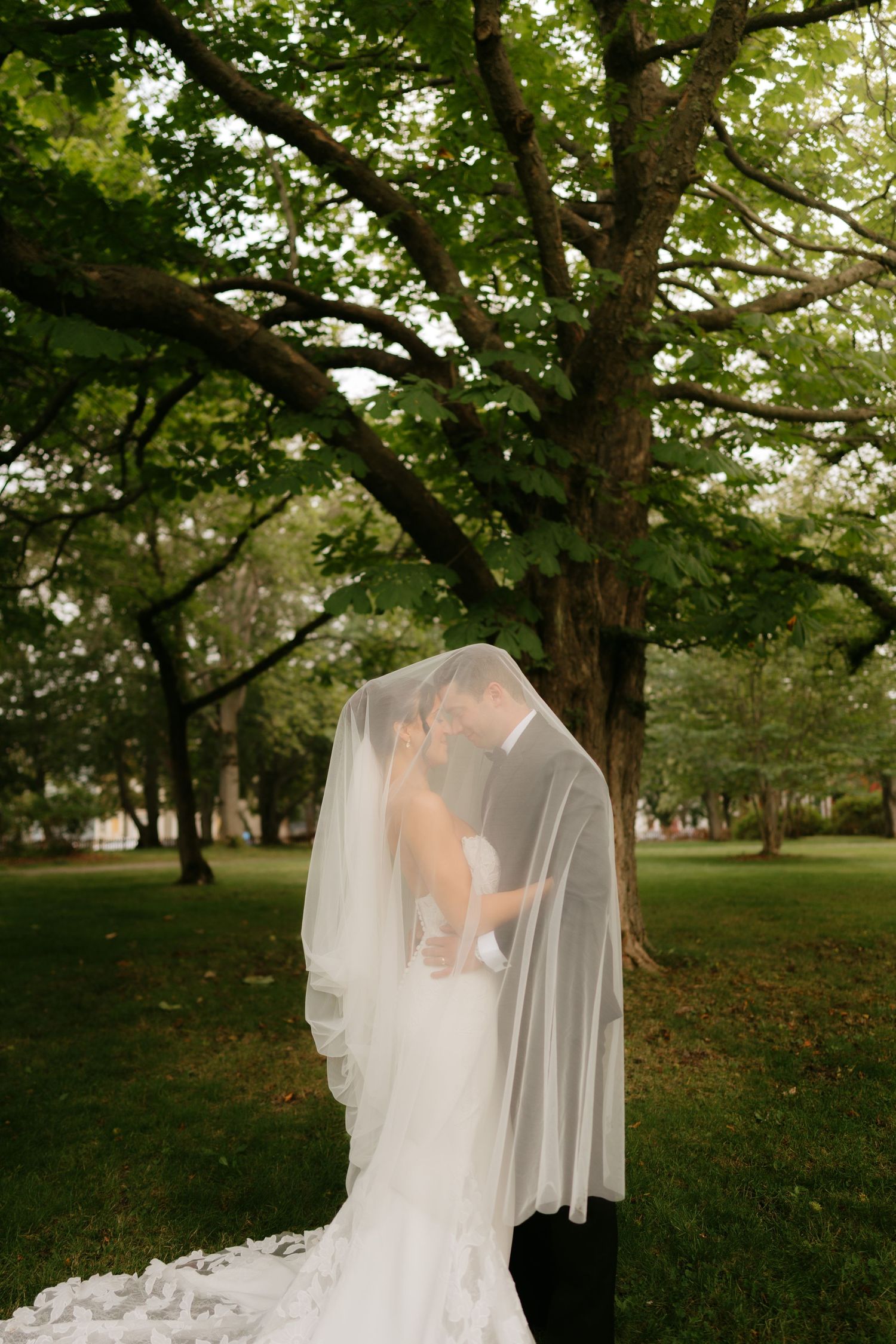 Bride and groom sharing a romantic kiss under a flowing white veil surrounded by lush green trees outdoors.