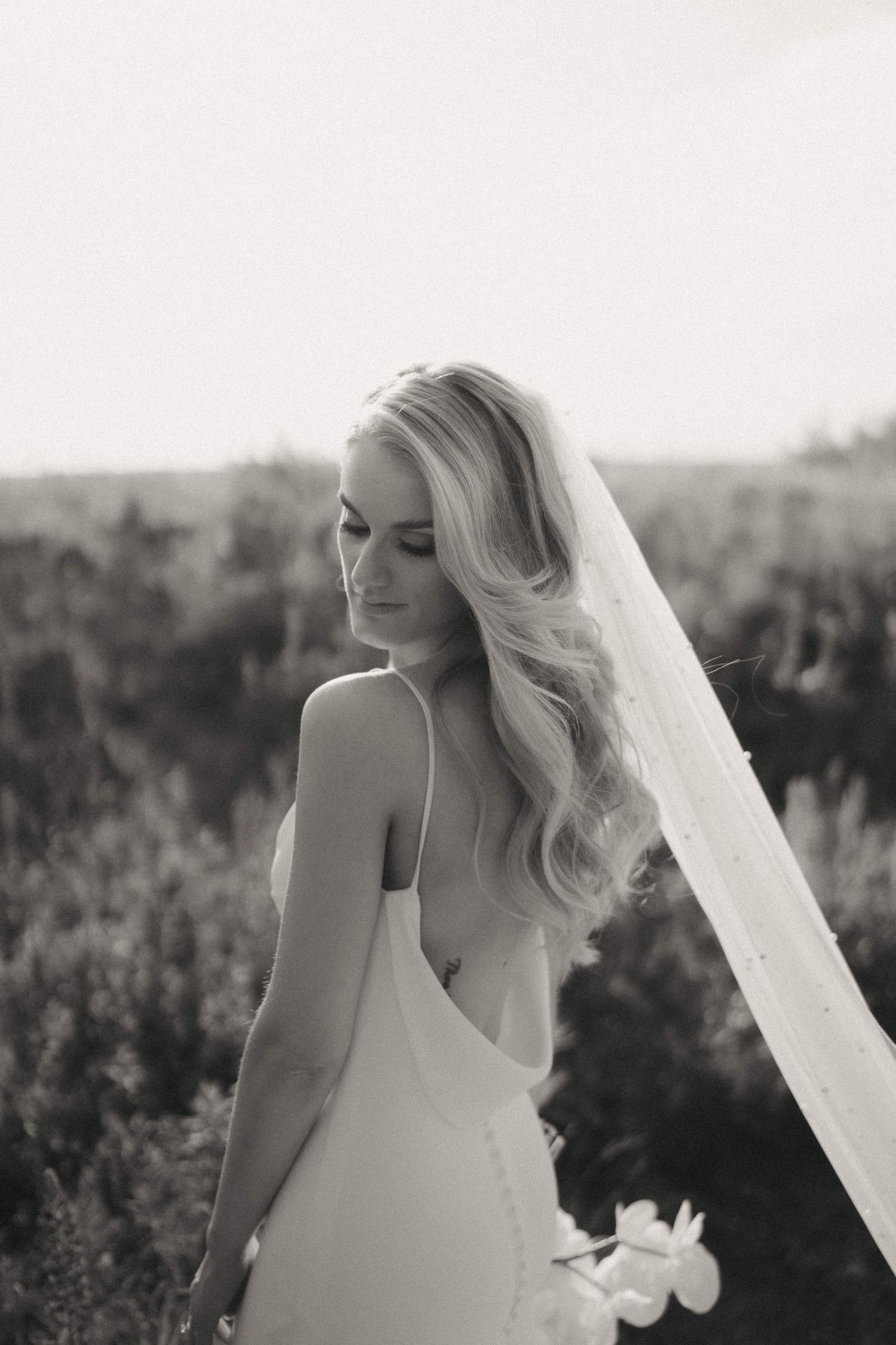 Elegant bridal portrait with flowing veil against soft natural lighting.