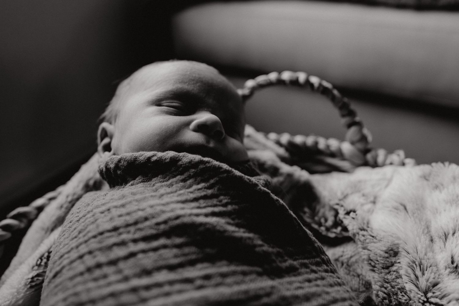 Overhead view of sleeping newborn in wicker basket with stuffed animal.