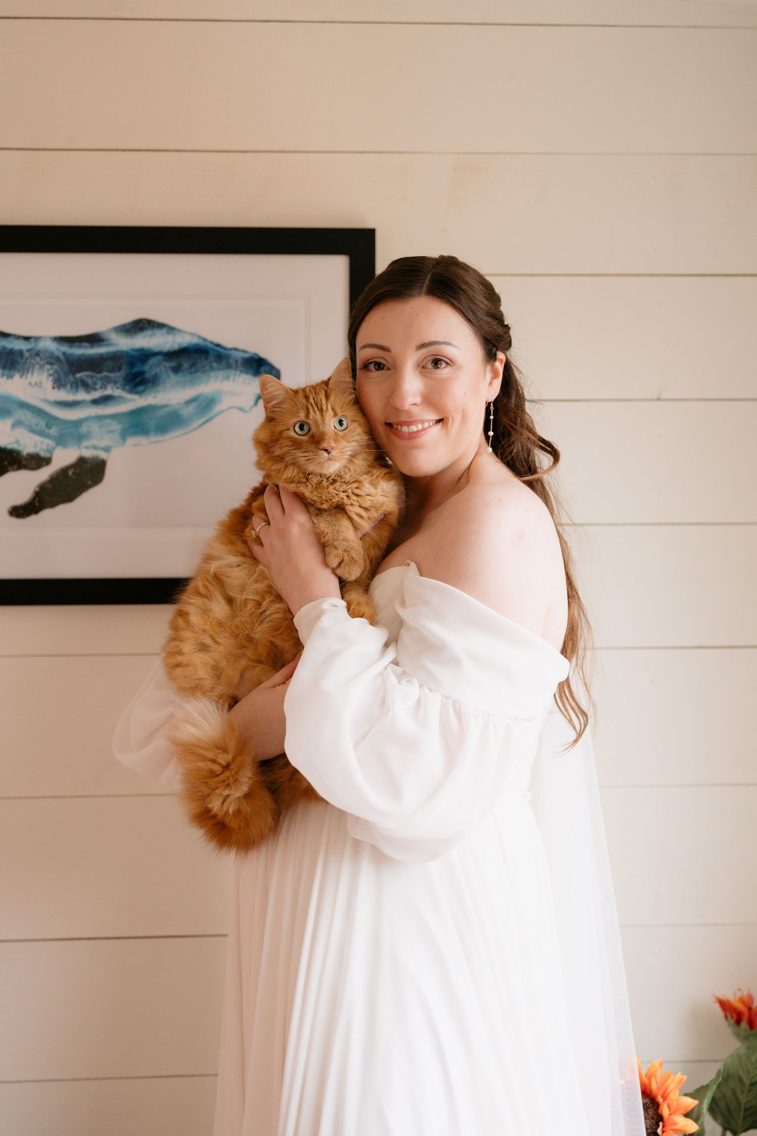 A fluffy orange cat is being held against a white shiplap wall with coastal artwork in the background.