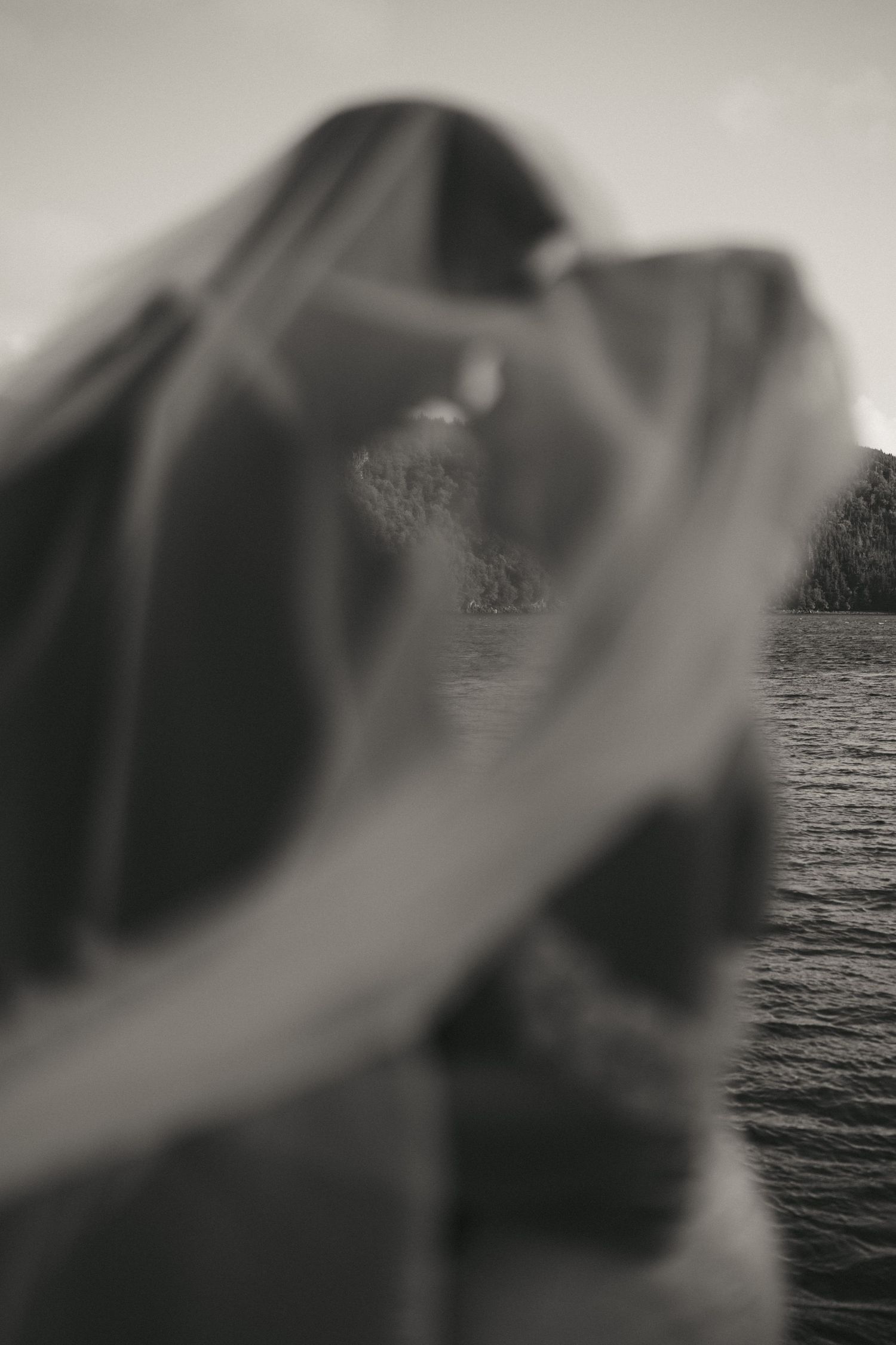 Black and white photo of a couple kissing behind a flowing veil near a lake with trees in the background.