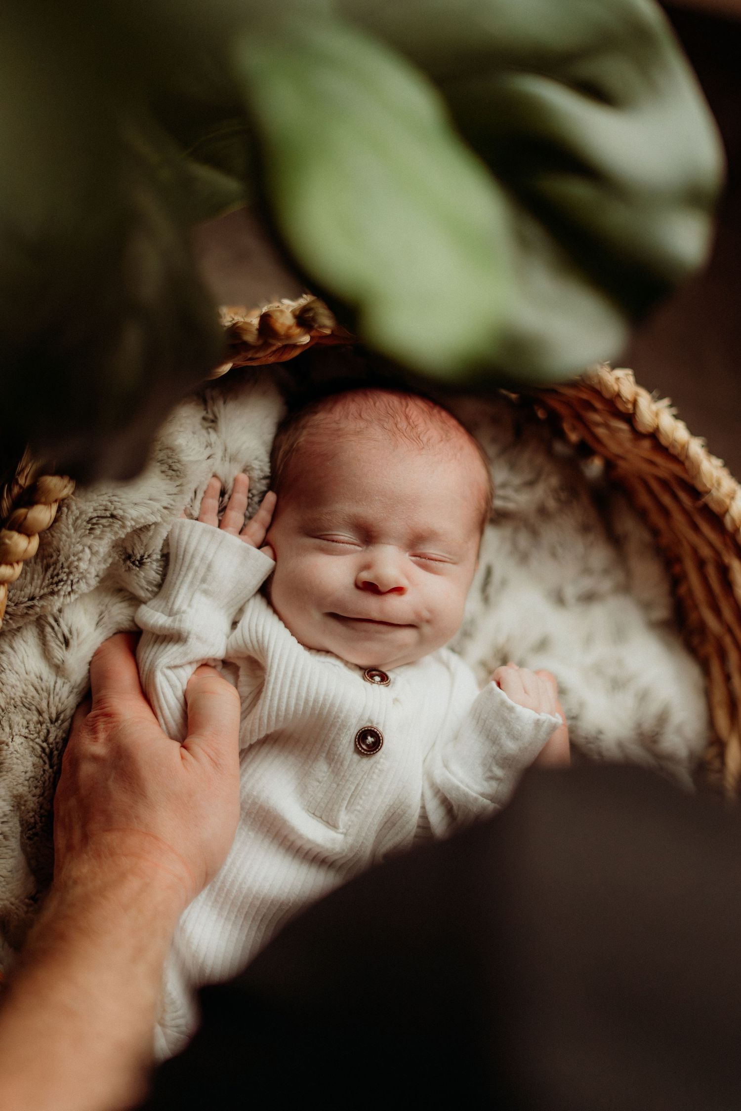 A newborn in white clothing sleeping peacefully in a wicker basket with green foliage accents.