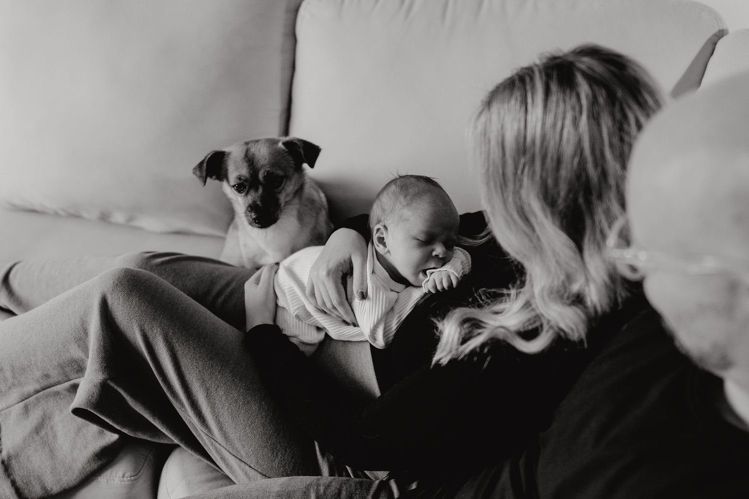 Monochrome image of a tender family scene with a pet on a couch.