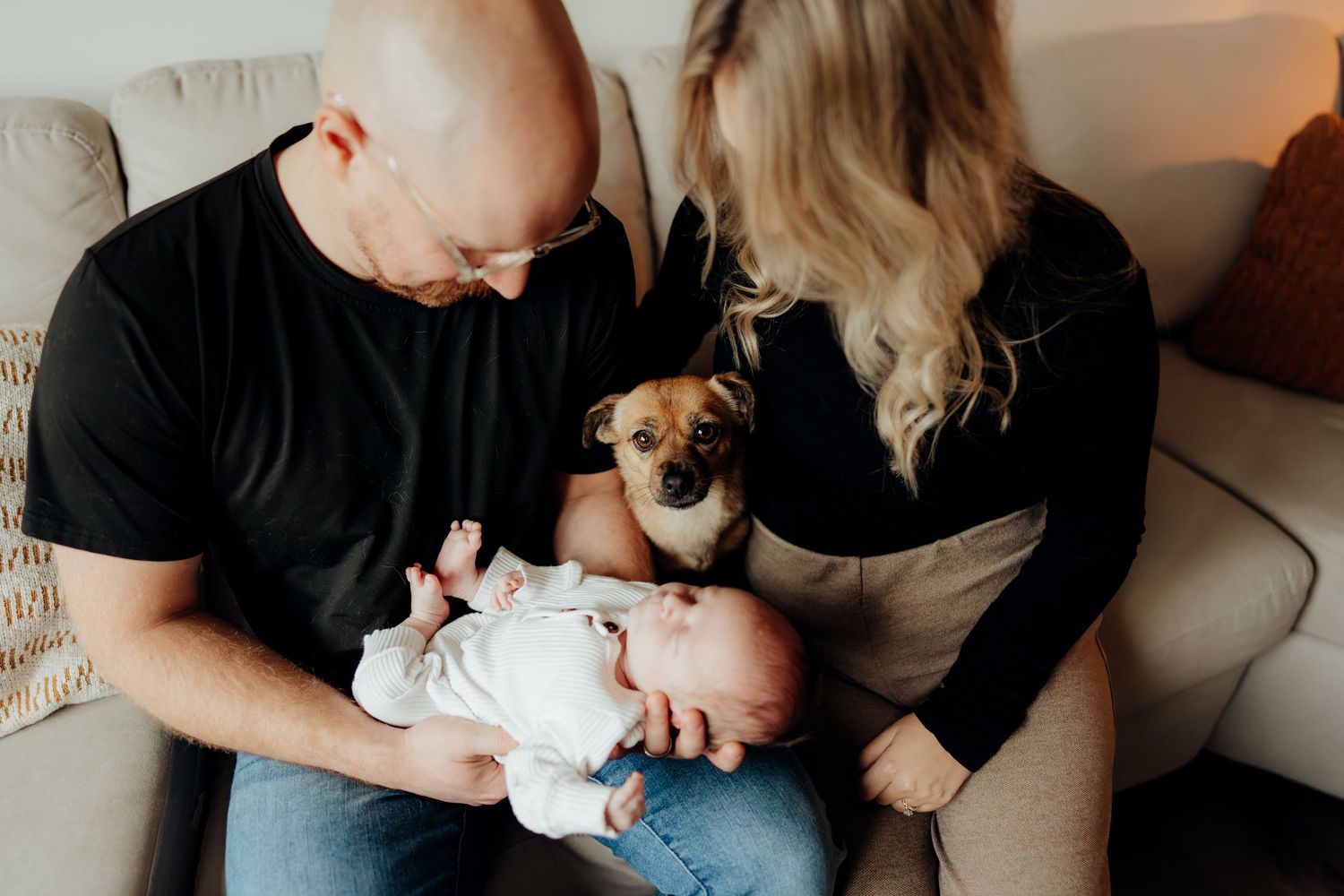 Lifestyle photography session showing family bonding with newborn and small dog on couch.