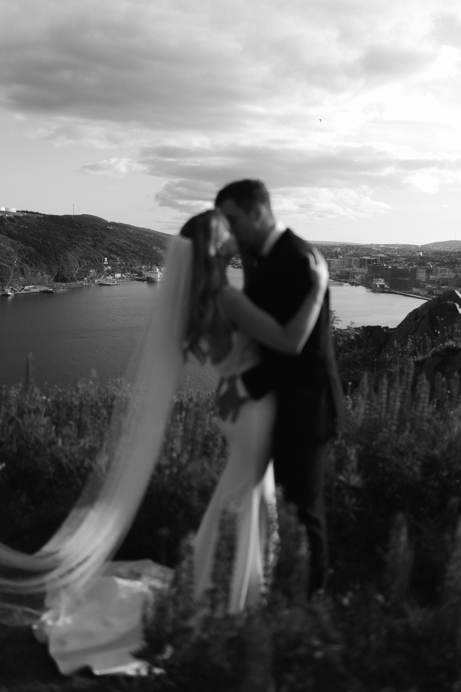 Dramatic black and white wedding portrait overlooking a scenic coastal bay.