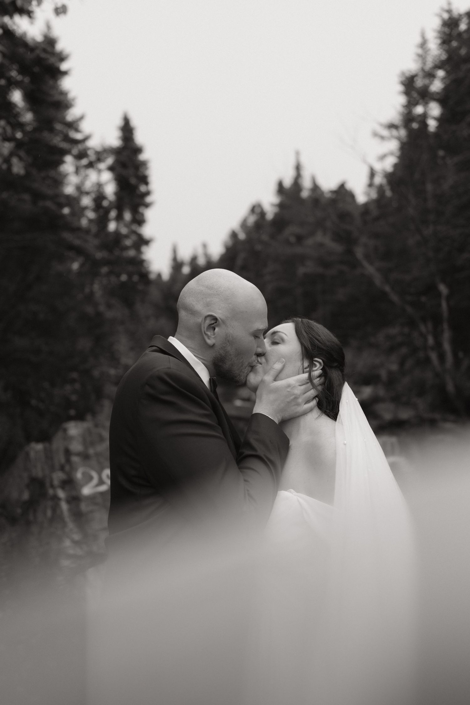 A romantic black and white wedding photo sequence showing a couple kissing with evergreen trees in the background.