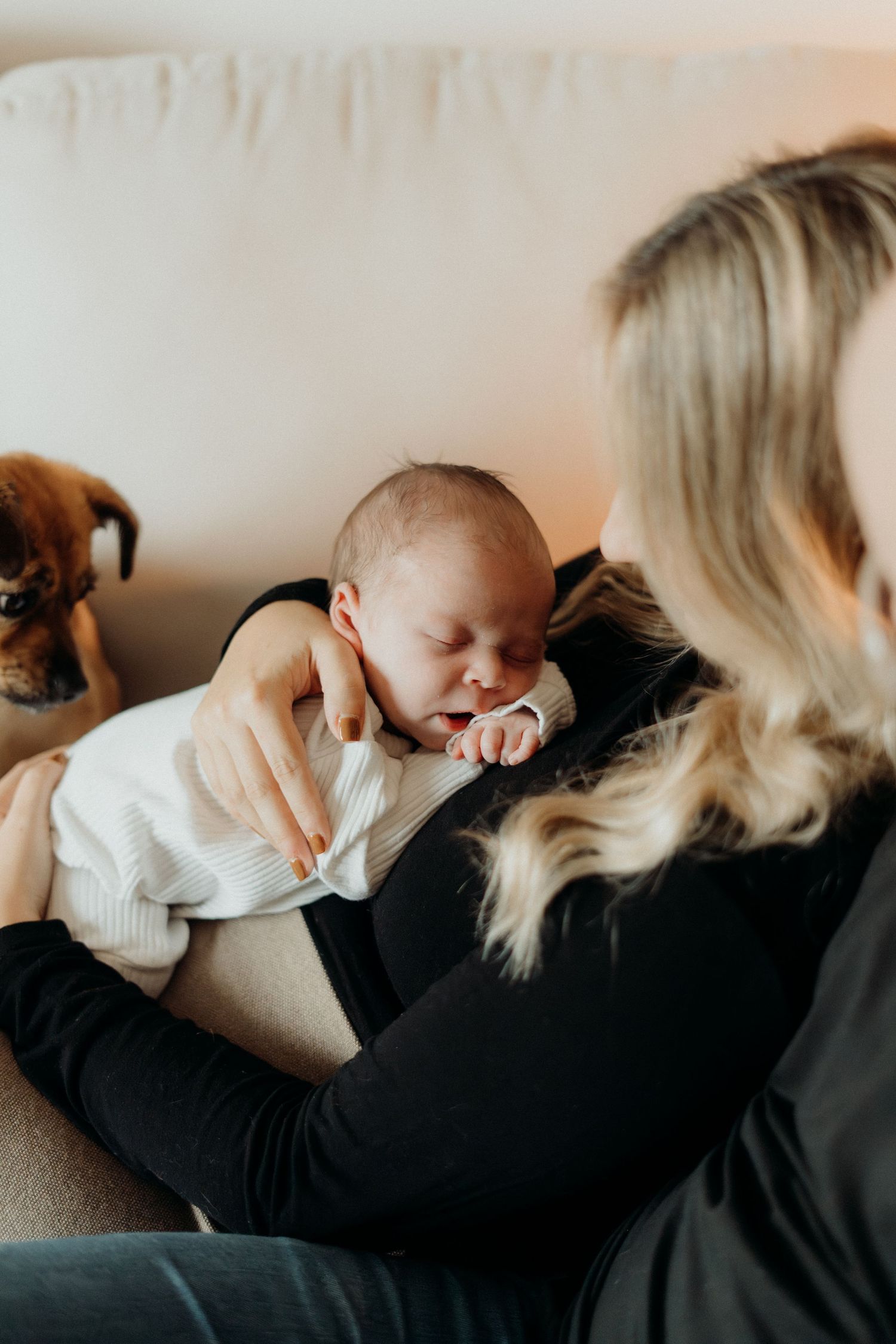 Warm-toned photograph capturing tender family moments in a living room setting.