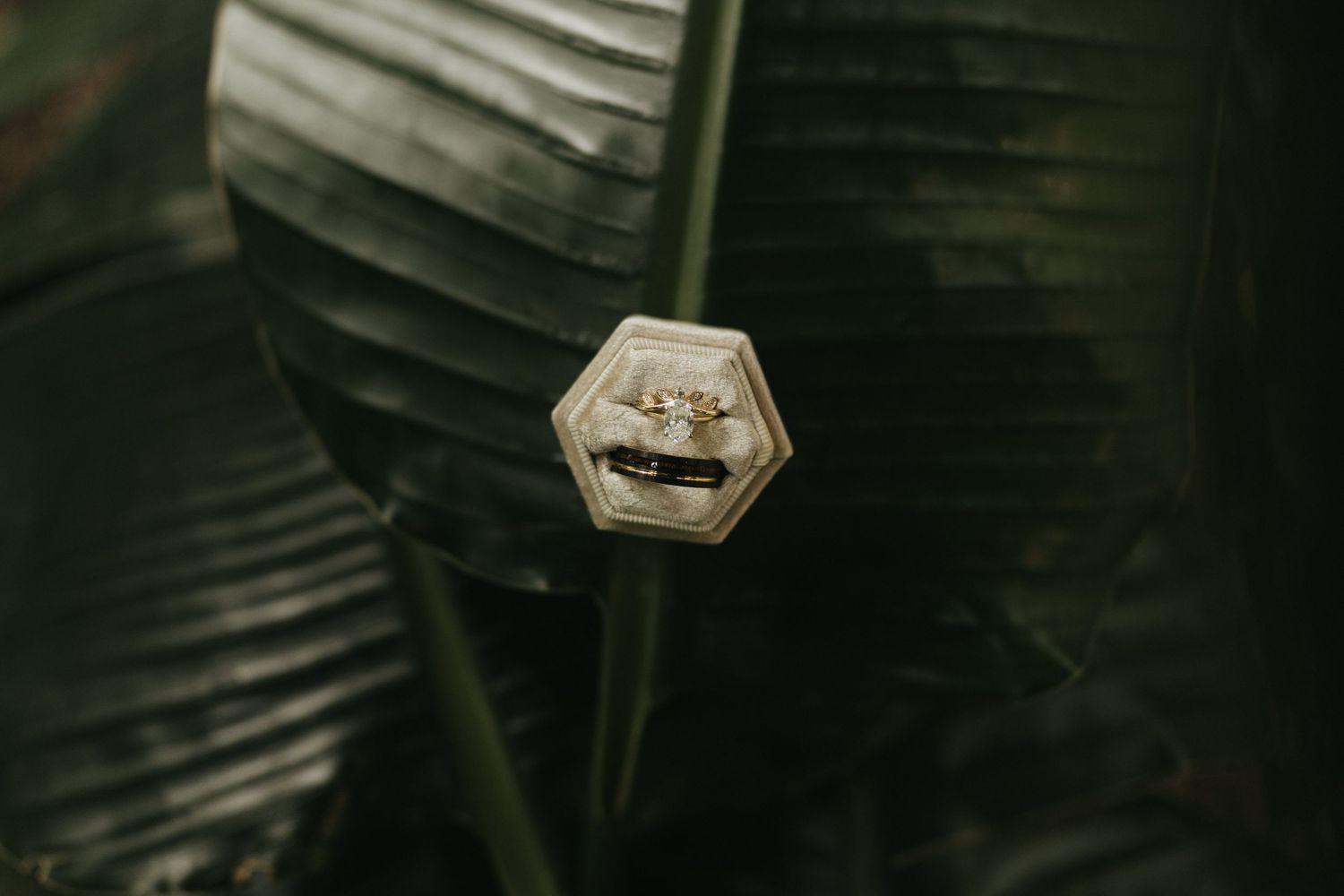Wedding ring close-up with delicate palm leaf shadows.