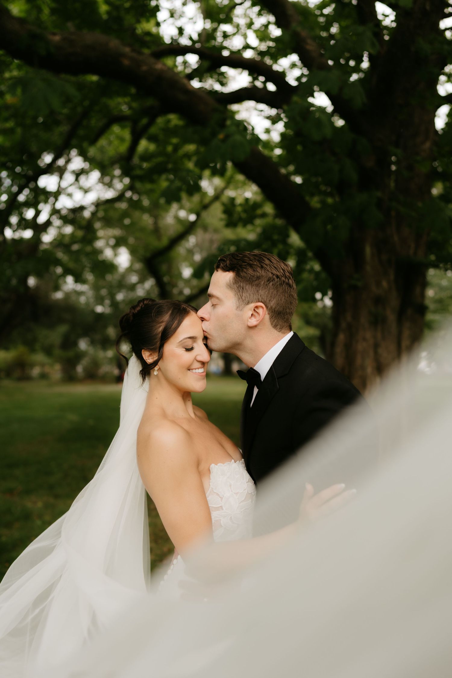 Groom in black tuxedo kissing bride on cheek outdoors, her white veil flowing, smiling under a large green tree.