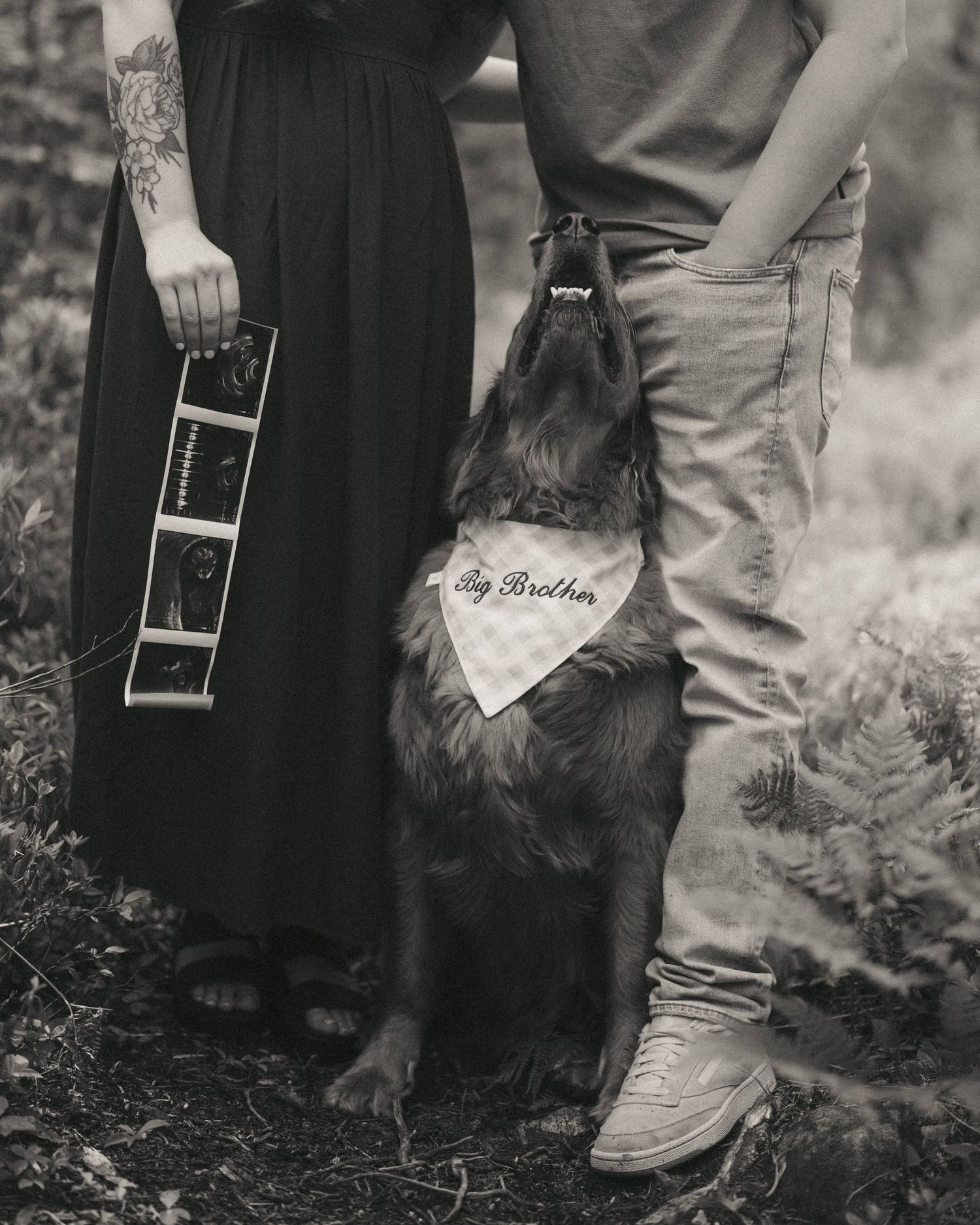 Black and white pregnancy announcement photo with couple, dog wearing Big Brother bandana, and ultrasound photos.