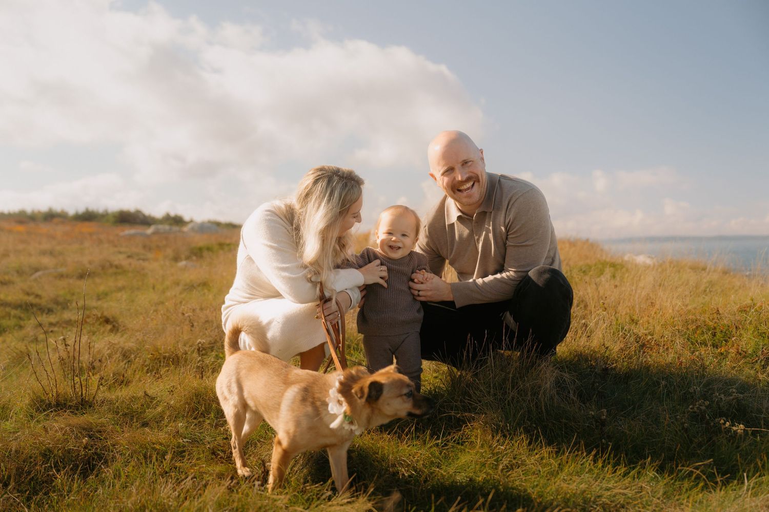 A golden retriever puppy plays in a grassy field with people during sunset.