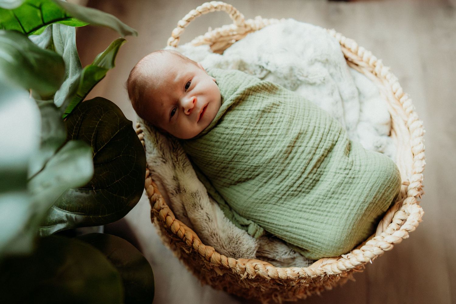 Infant swaddled in mint green blanket resting in woven basket near green plants.