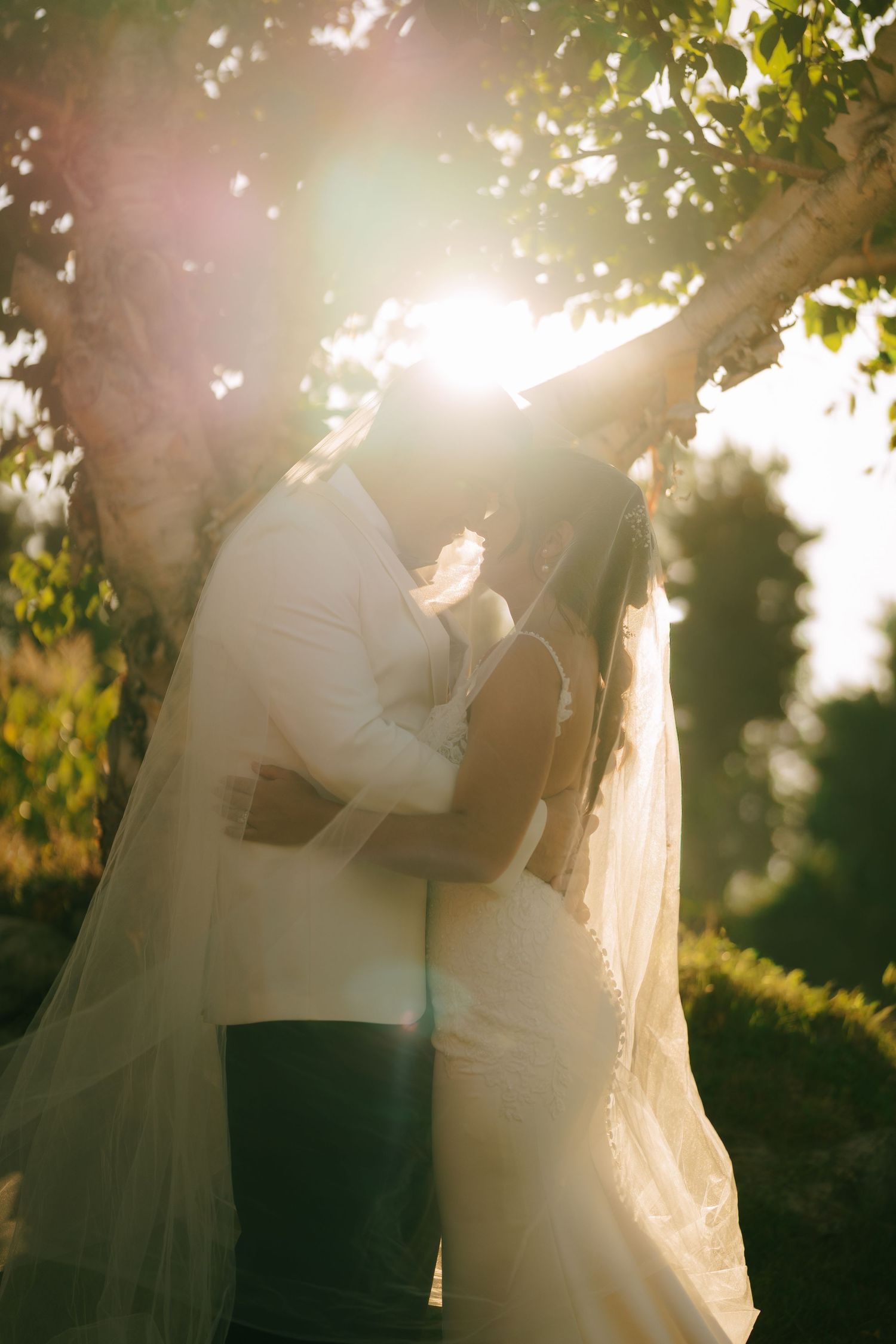 Romantic silhouette of a bride and groom embracing in a sunlit garden with glowing lens flare and flowing veil.
