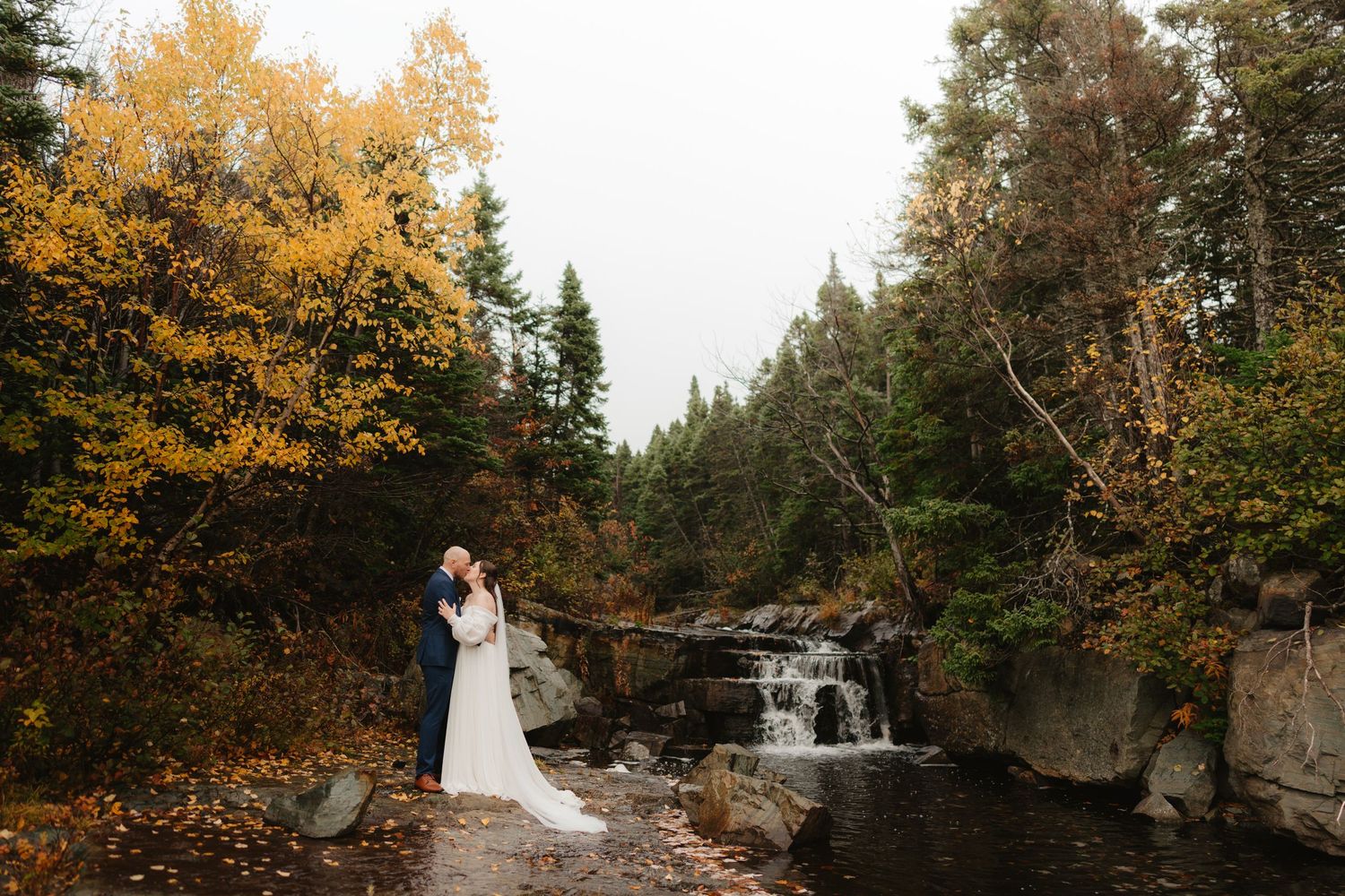 Couple embraces in a romantic autumn forest setting with golden leaves and evergreen trees in the background.