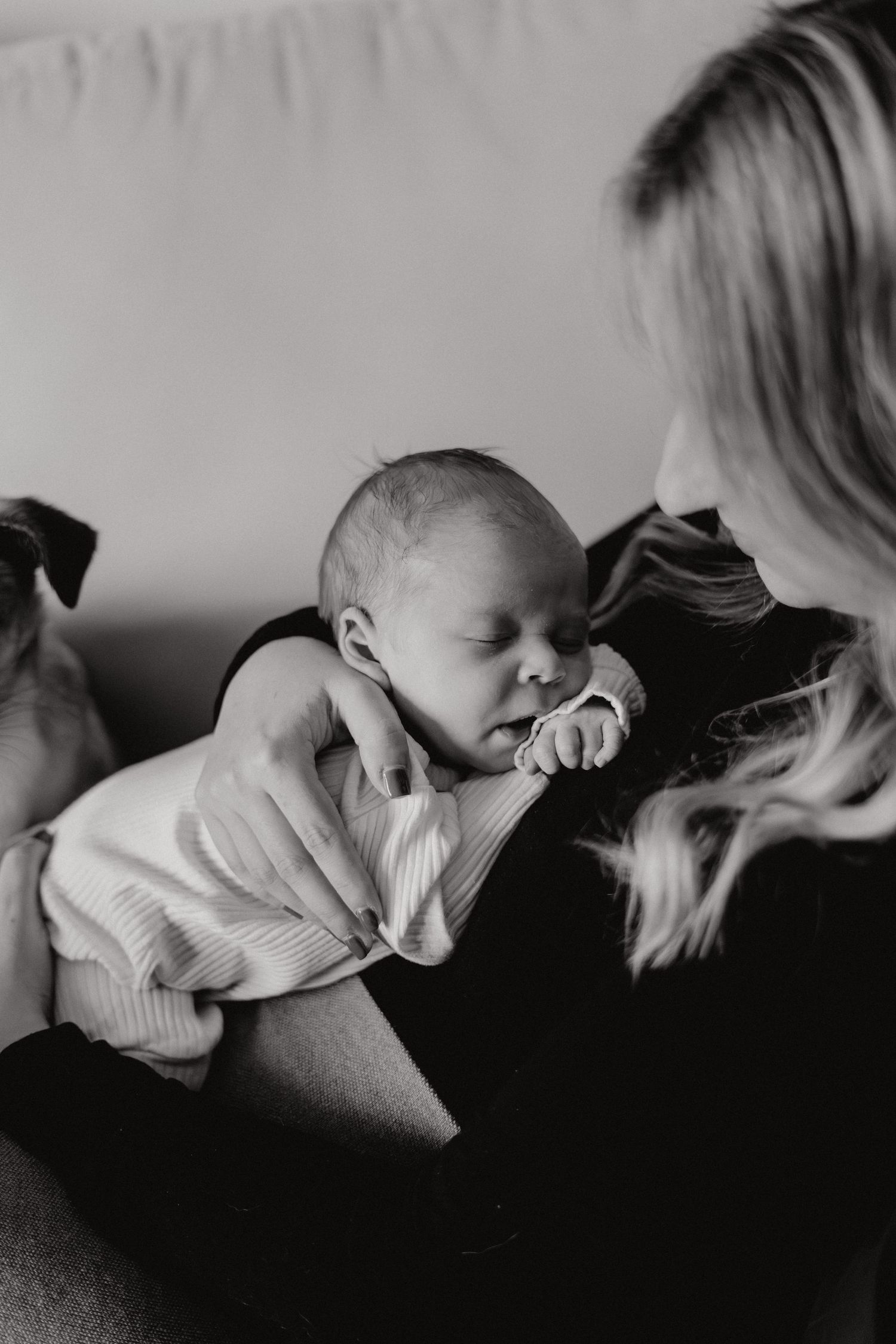 Black and white artistic portrait series showing tender family moments on sofa.
