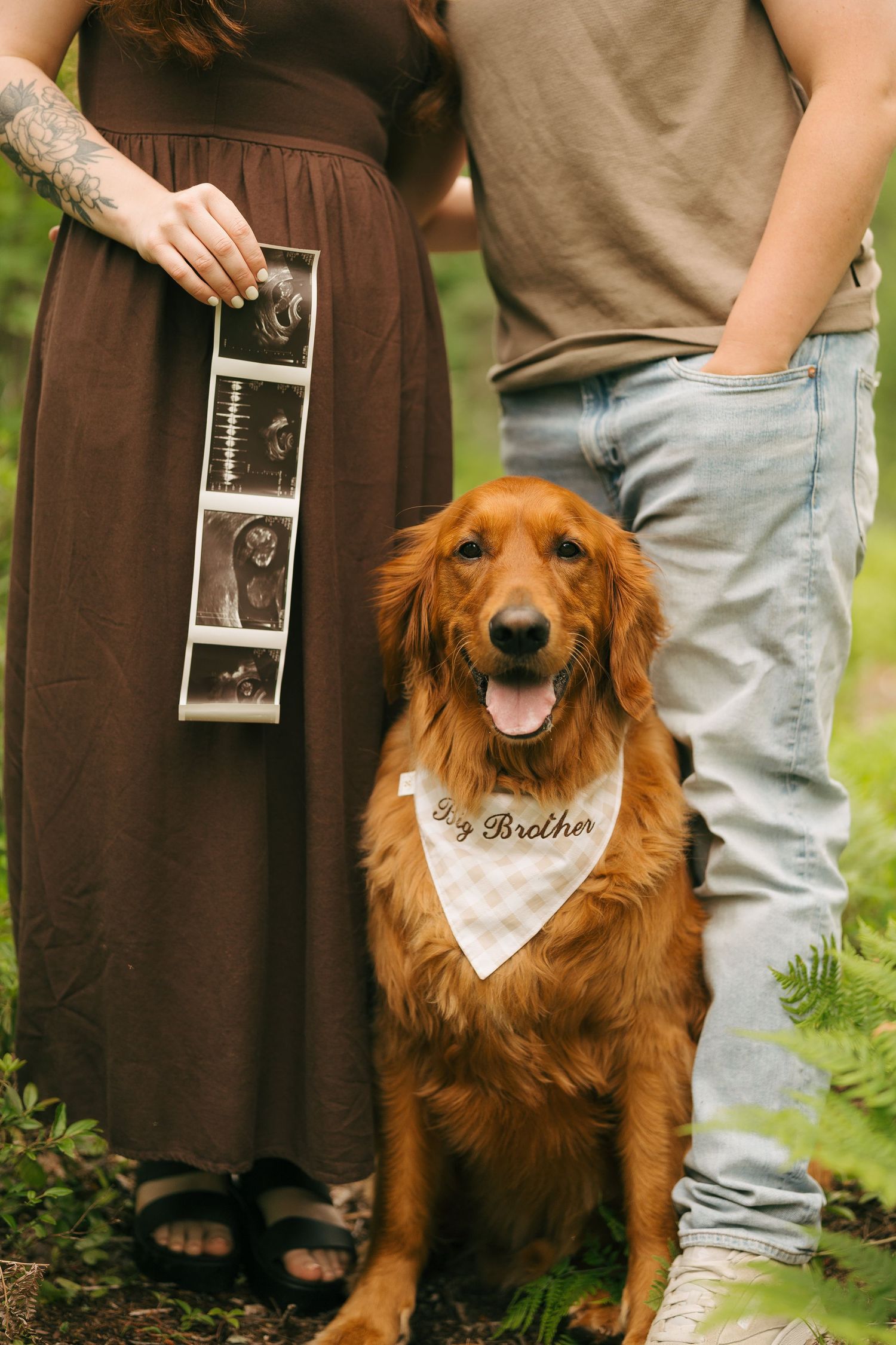 Couple holding ultrasound photos with a golden retriever wearing a Big Brother bandana for a pregnancy announcement.